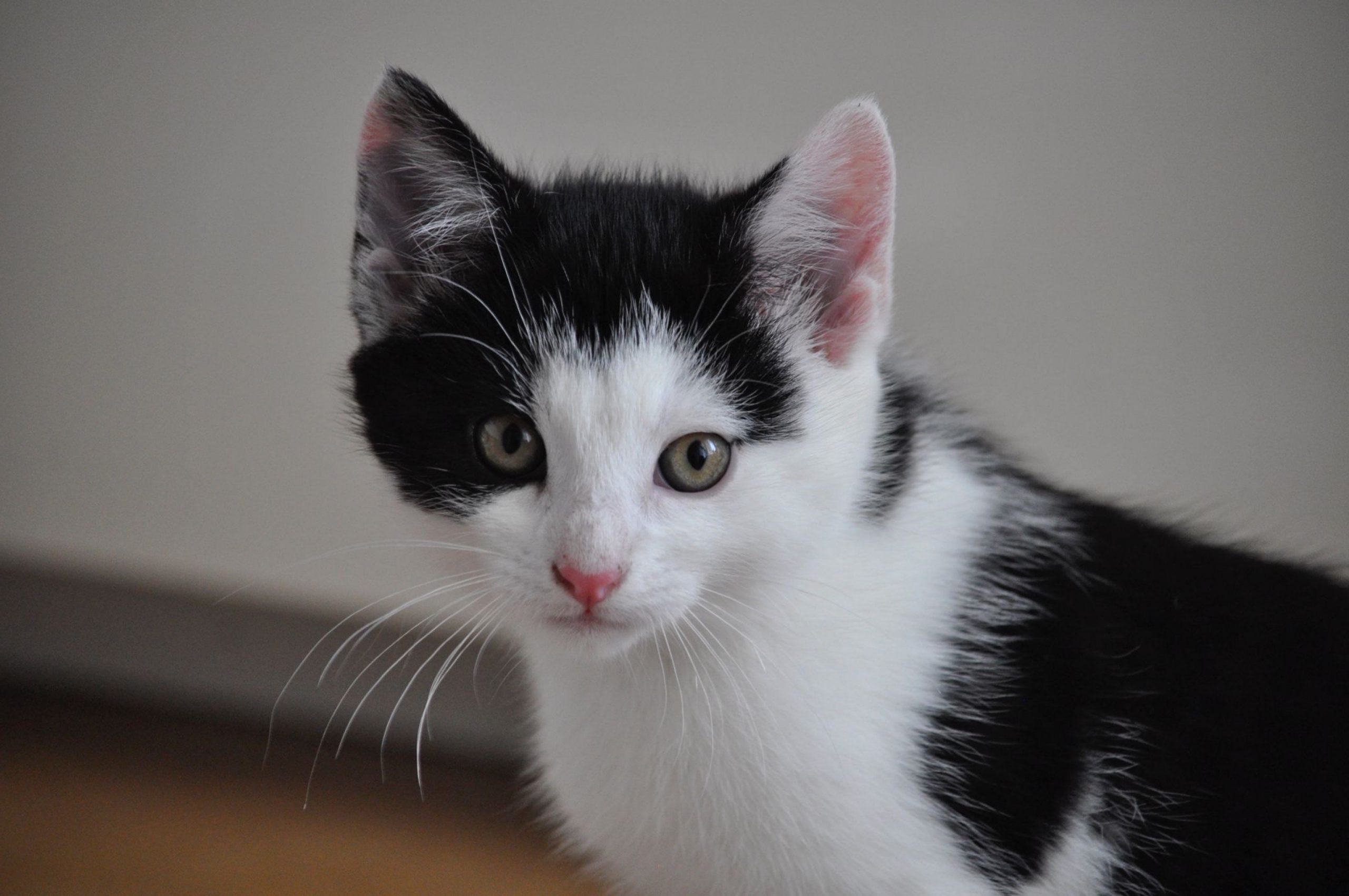 58a8d71b-25c7-45f6-91d6-37fce9de99b1