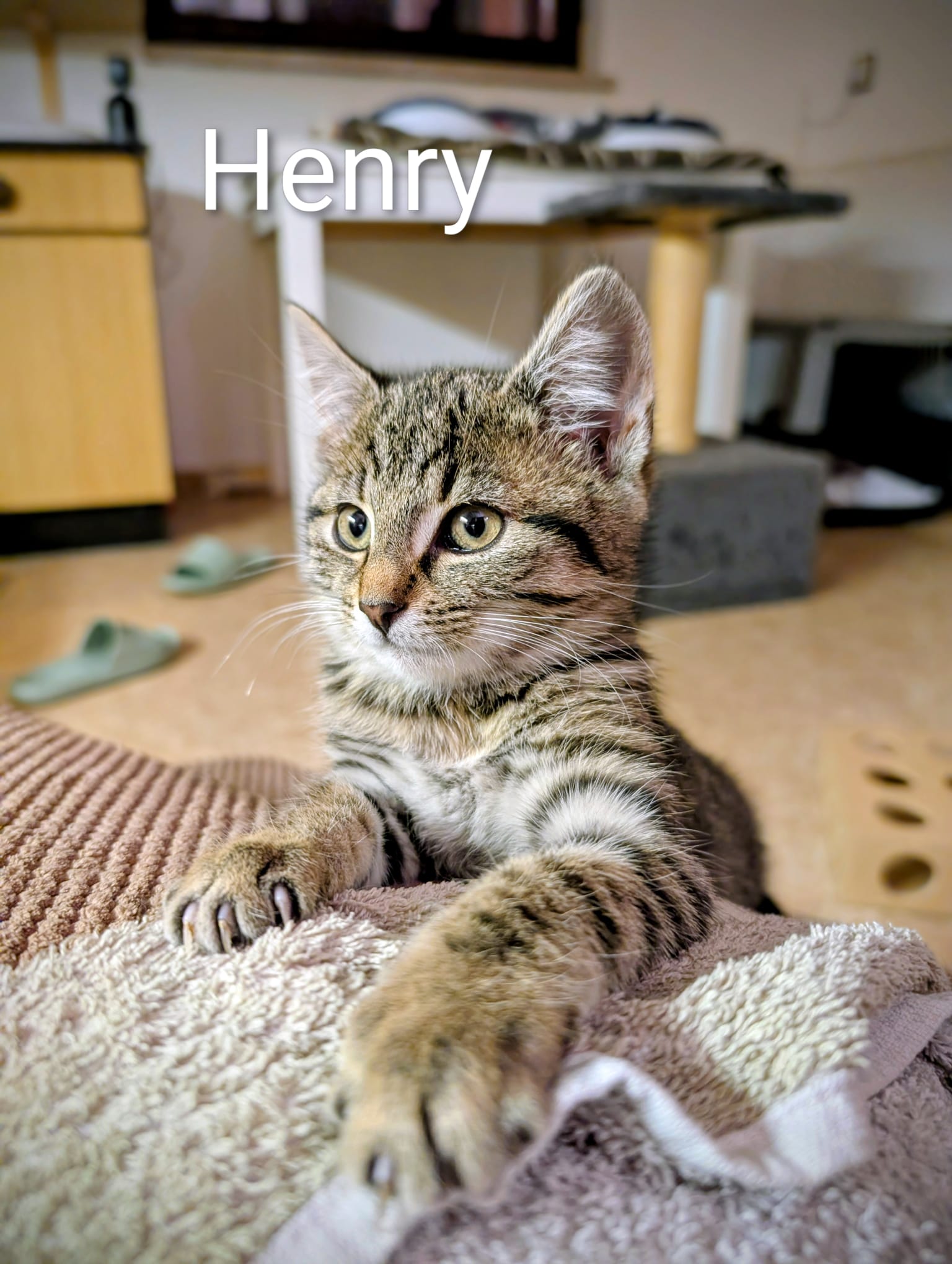 5bb3f2cd-733d-4911-b74c-13df78c0ced1