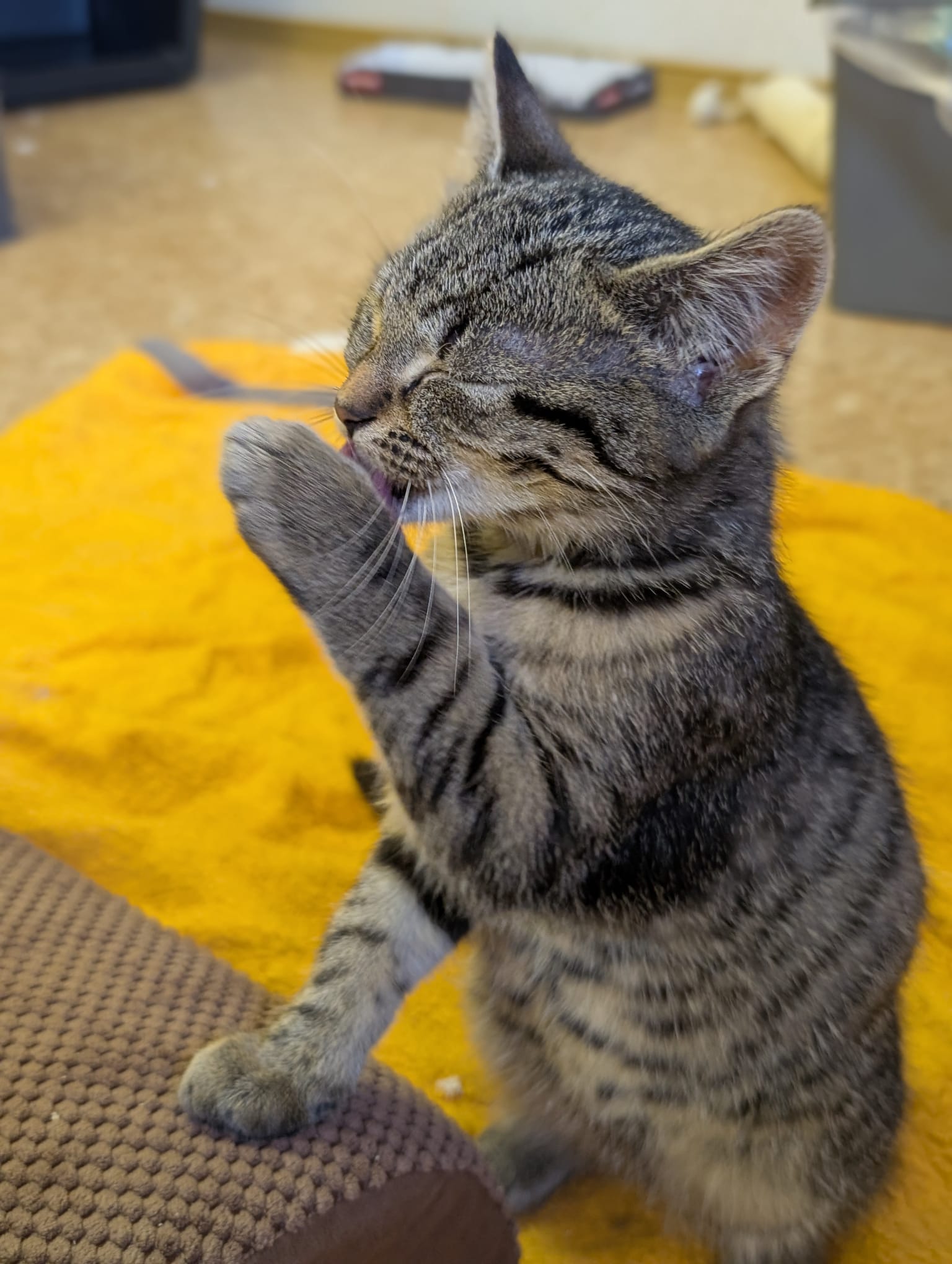 8898c462-ae79-486d-bbc6-75f19b7a0d2f