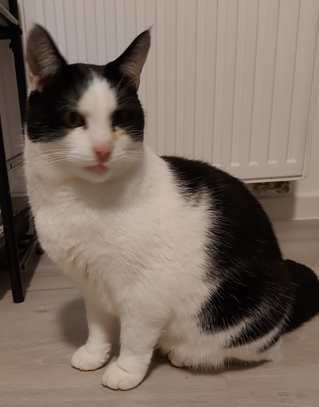 WhatsApp Bild 2025-11-04 um 17.53.06_72ccb80c