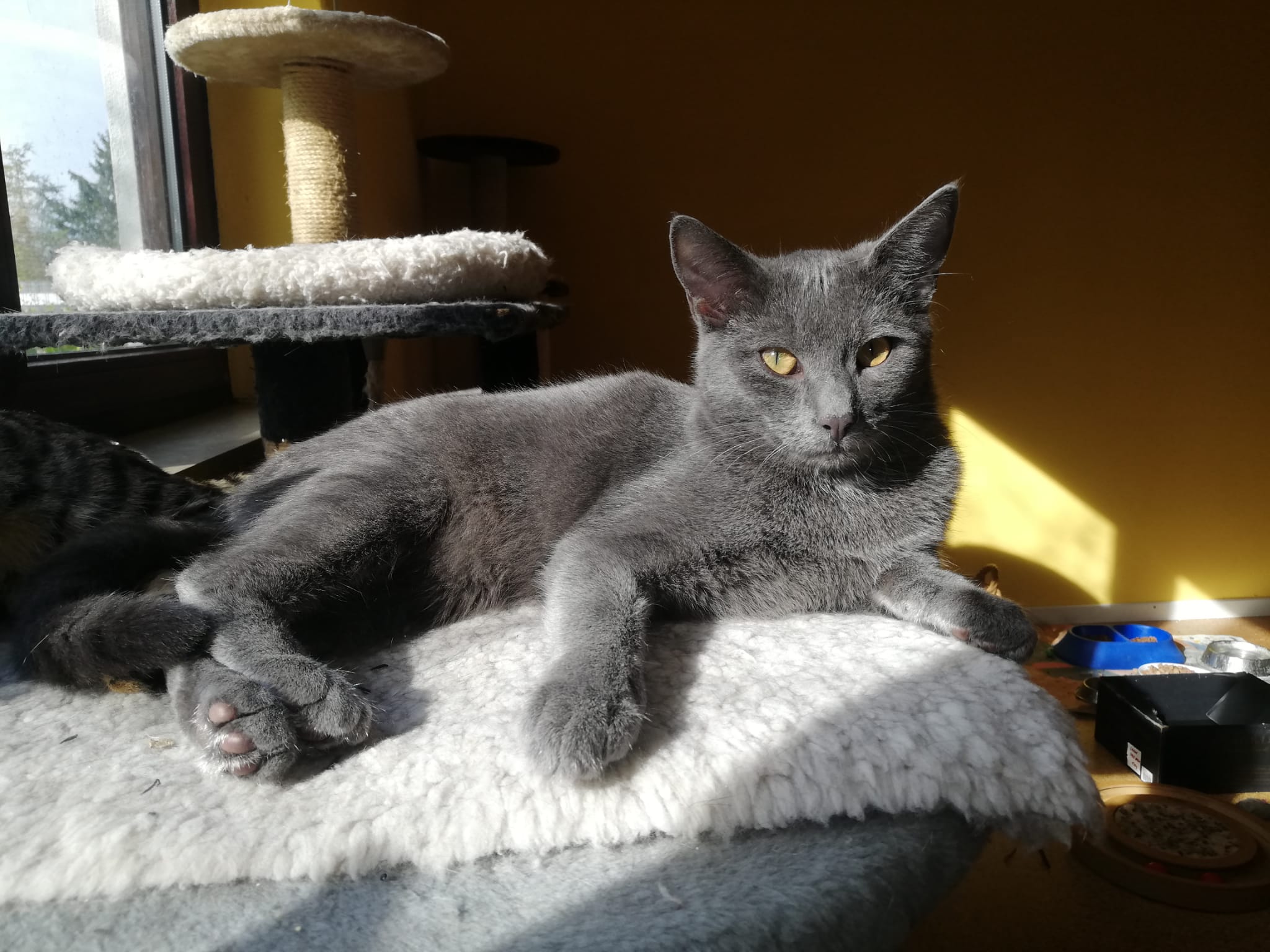 WhatsApp Bild 2025-11-09 um 15.02.15_267ddaec