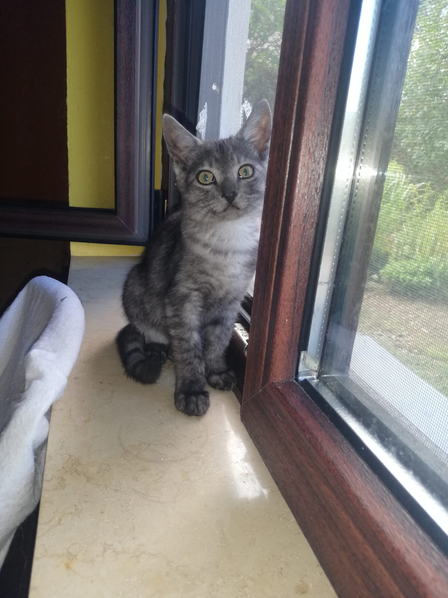 WhatsApp Bild 2025-11-09 um 15.07.09_bb070921