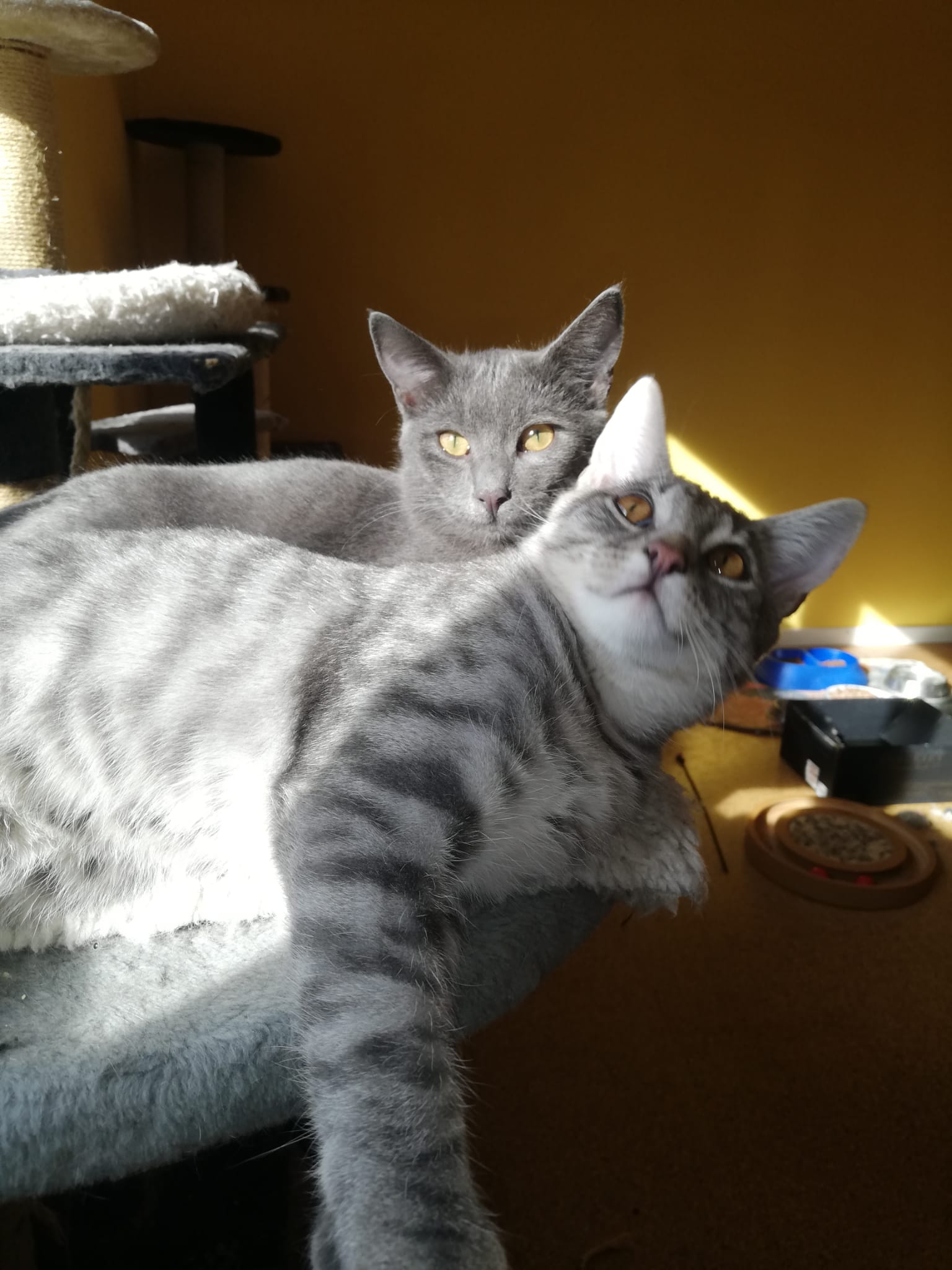 WhatsApp Bild 2025-11-09 um 15.08.16_61adfe68