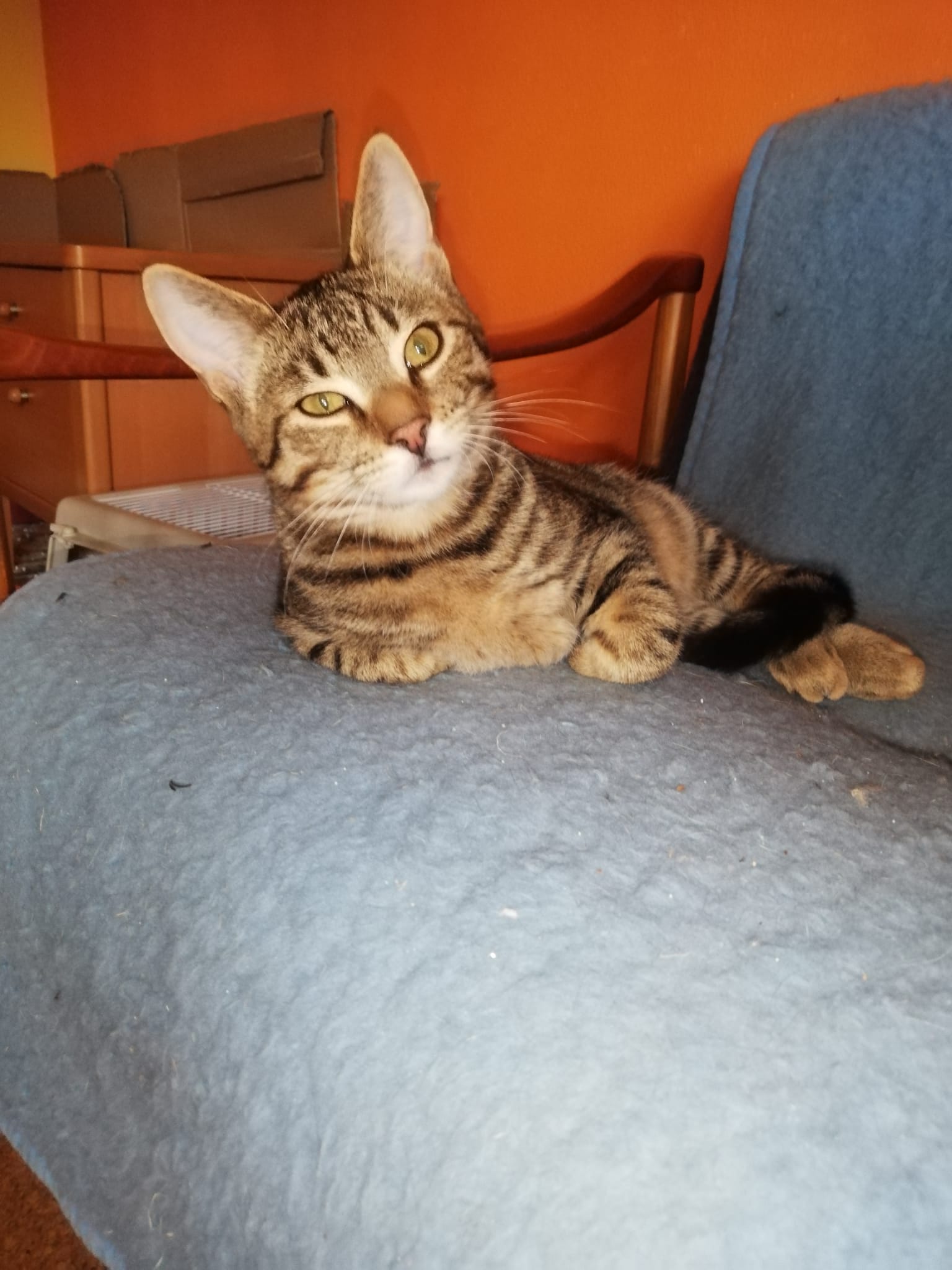 WhatsApp Bild 2025-11-09 um 15.10.13_03f0a9fe