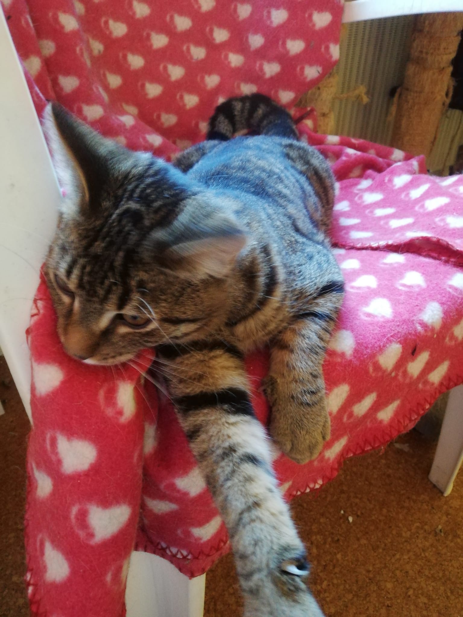 WhatsApp Bild 2025-11-09 um 15.10.50_c27523b4