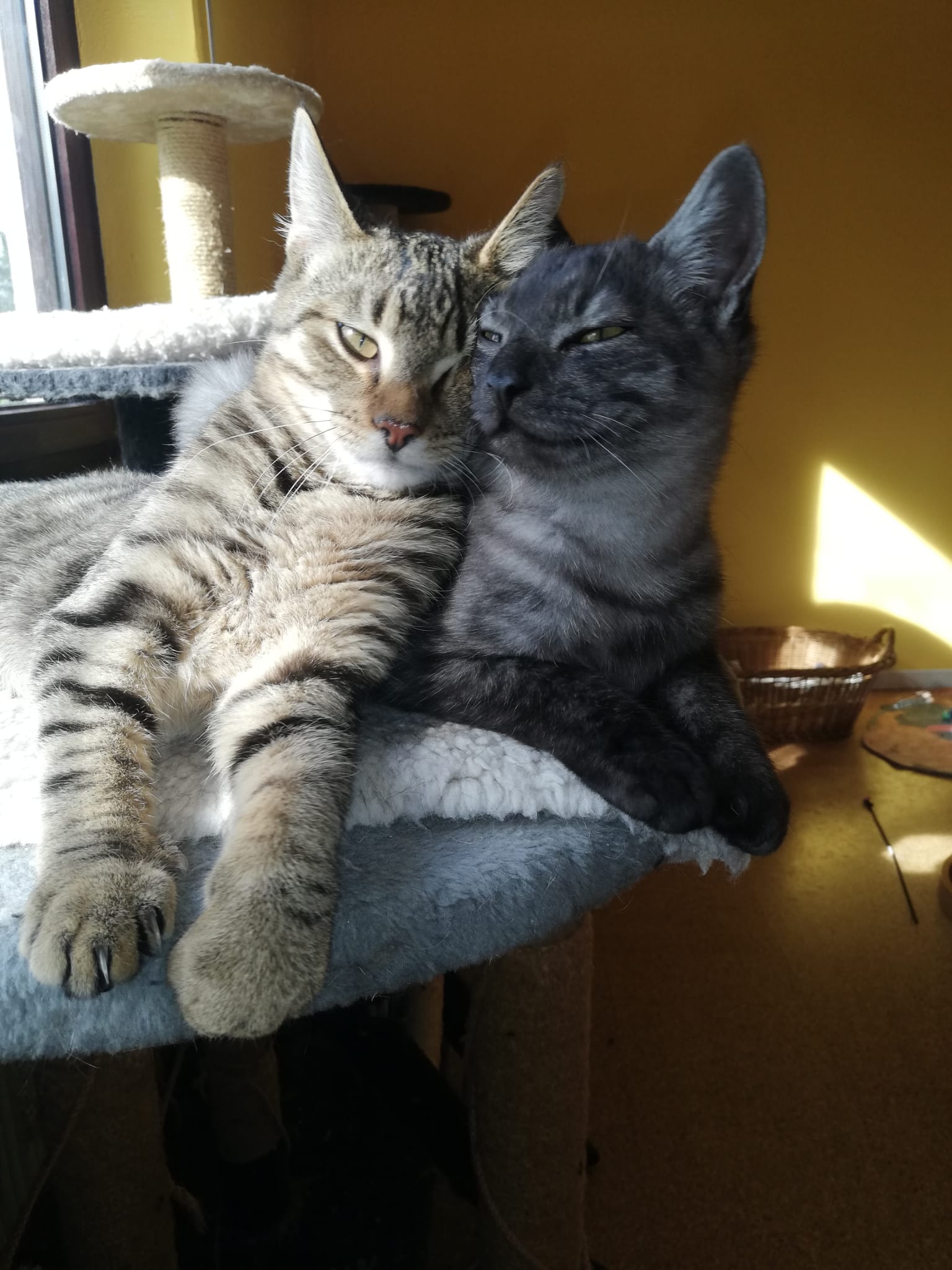 WhatsApp Bild 2025-11-09 um 15.12.17_d208f96c