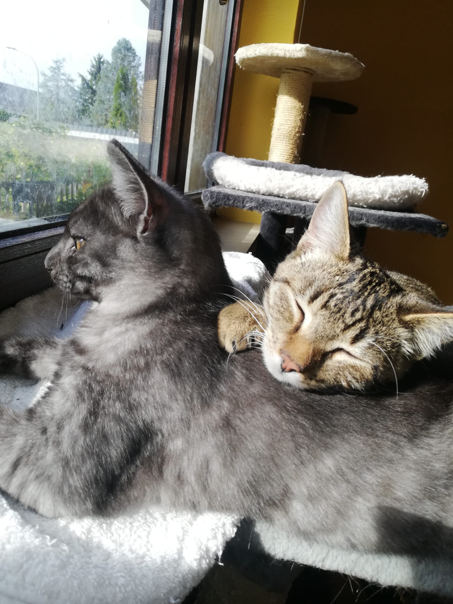 WhatsApp Bild 2025-11-09 um 15.13.28_d9ffe009