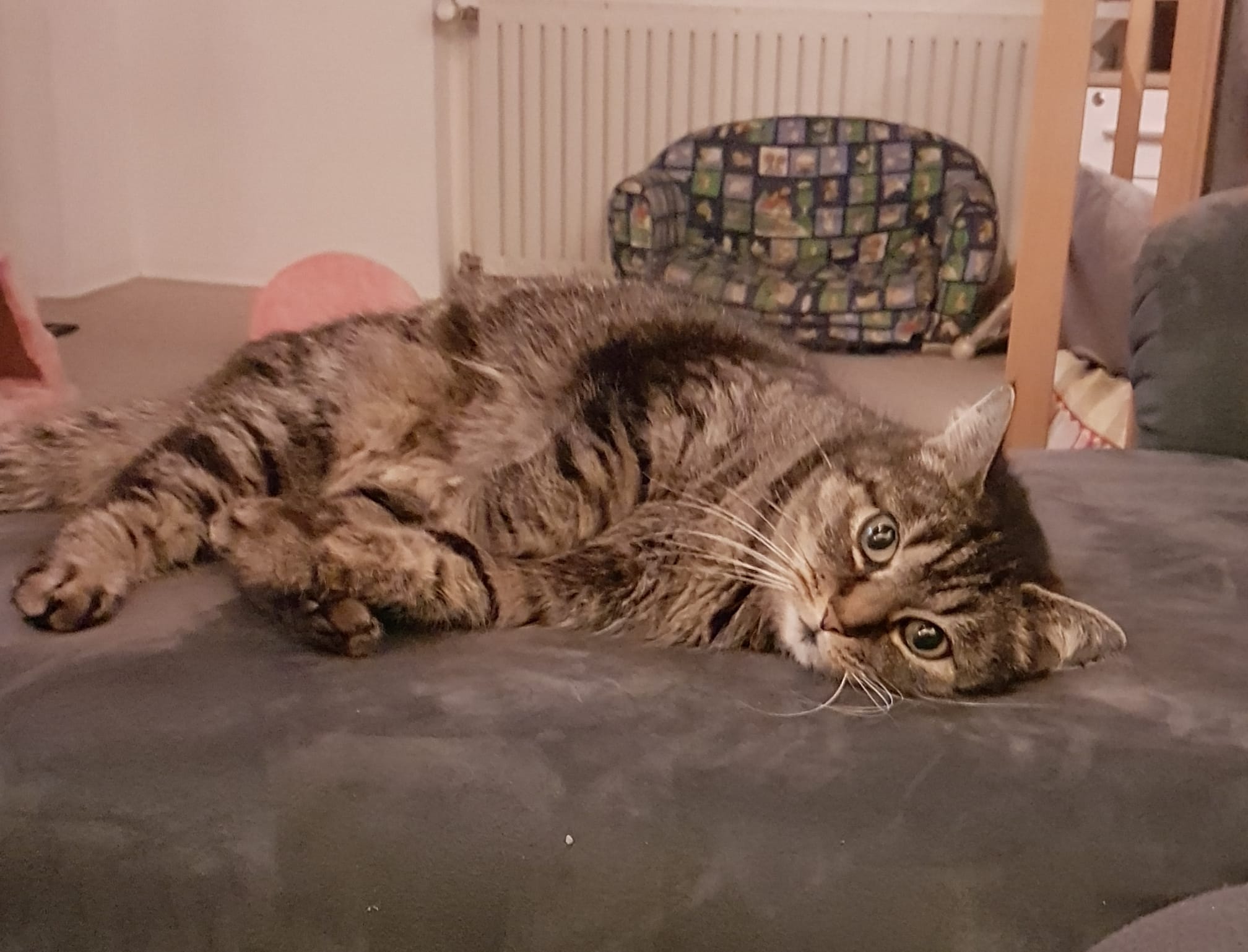 WhatsApp Image 2025-11-23 at 11.48.46