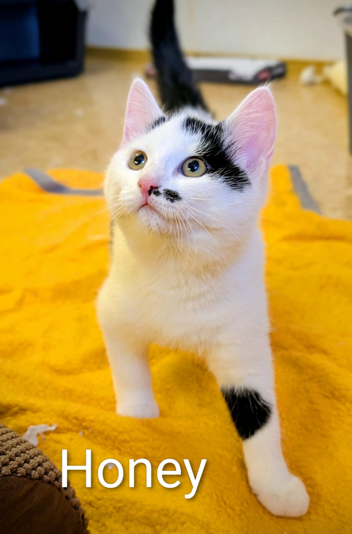 a23ffcb1-7167-47bf-848c-f6252ea03a55