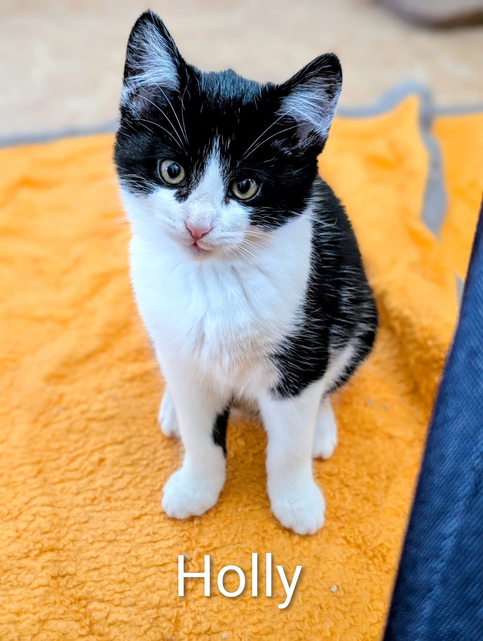 c07802a8-4655-473f-b41f-97ddadccdaa3