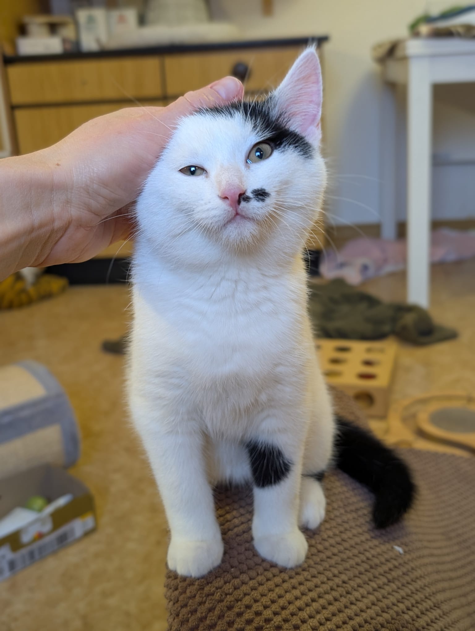 eab2eb28-c5d8-4fae-ac32-2228e4d026de