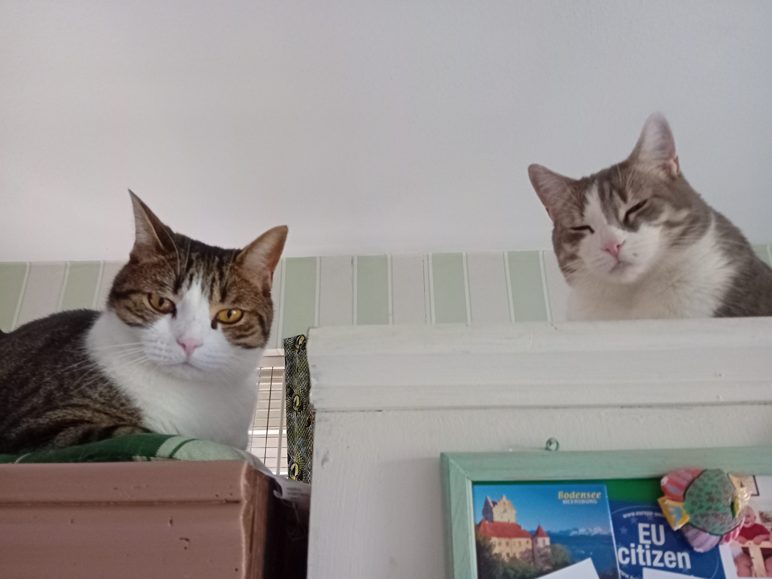 20241012_103654 - J.A. K.