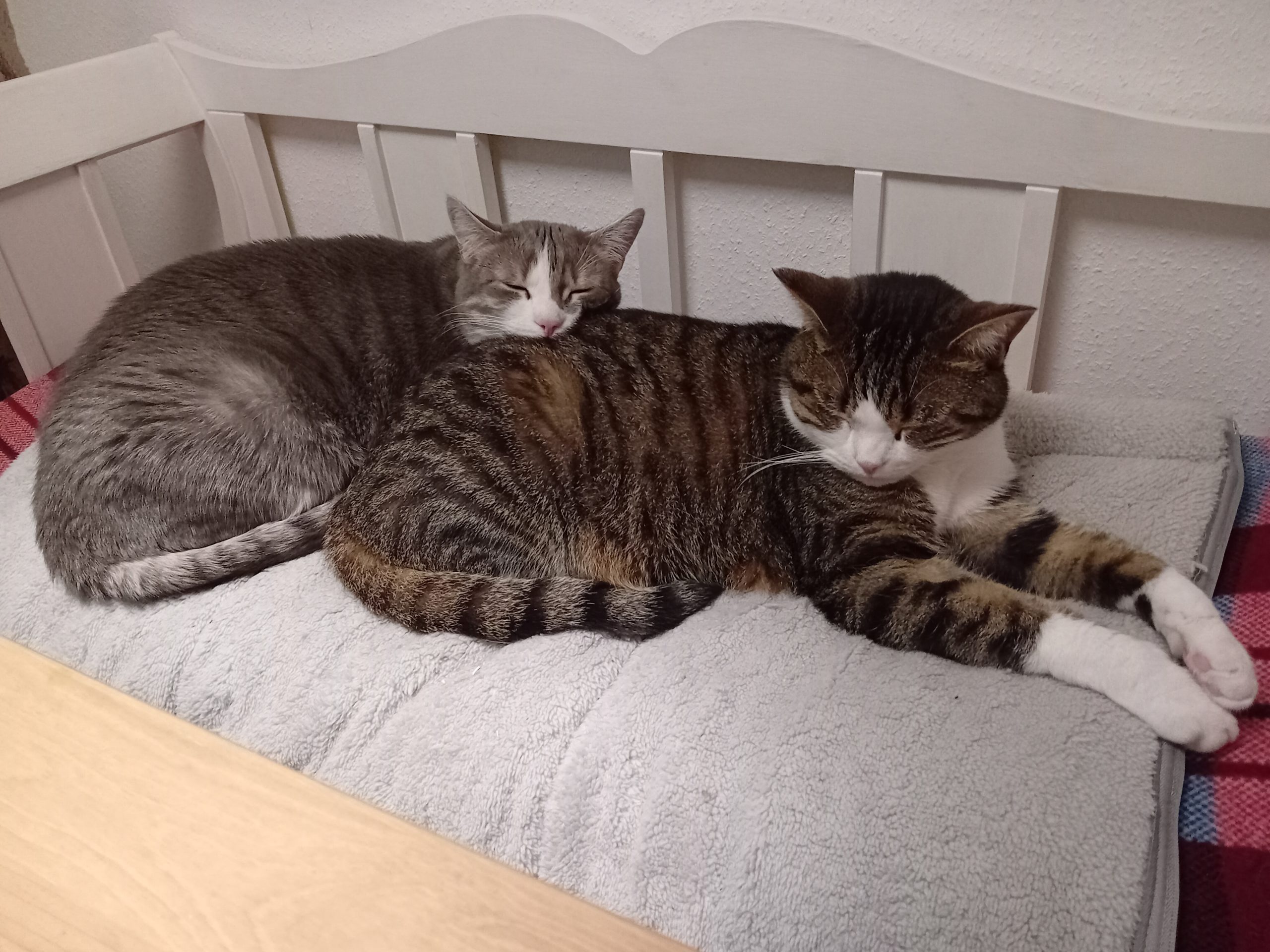 20241101_183740 - J.A. K.