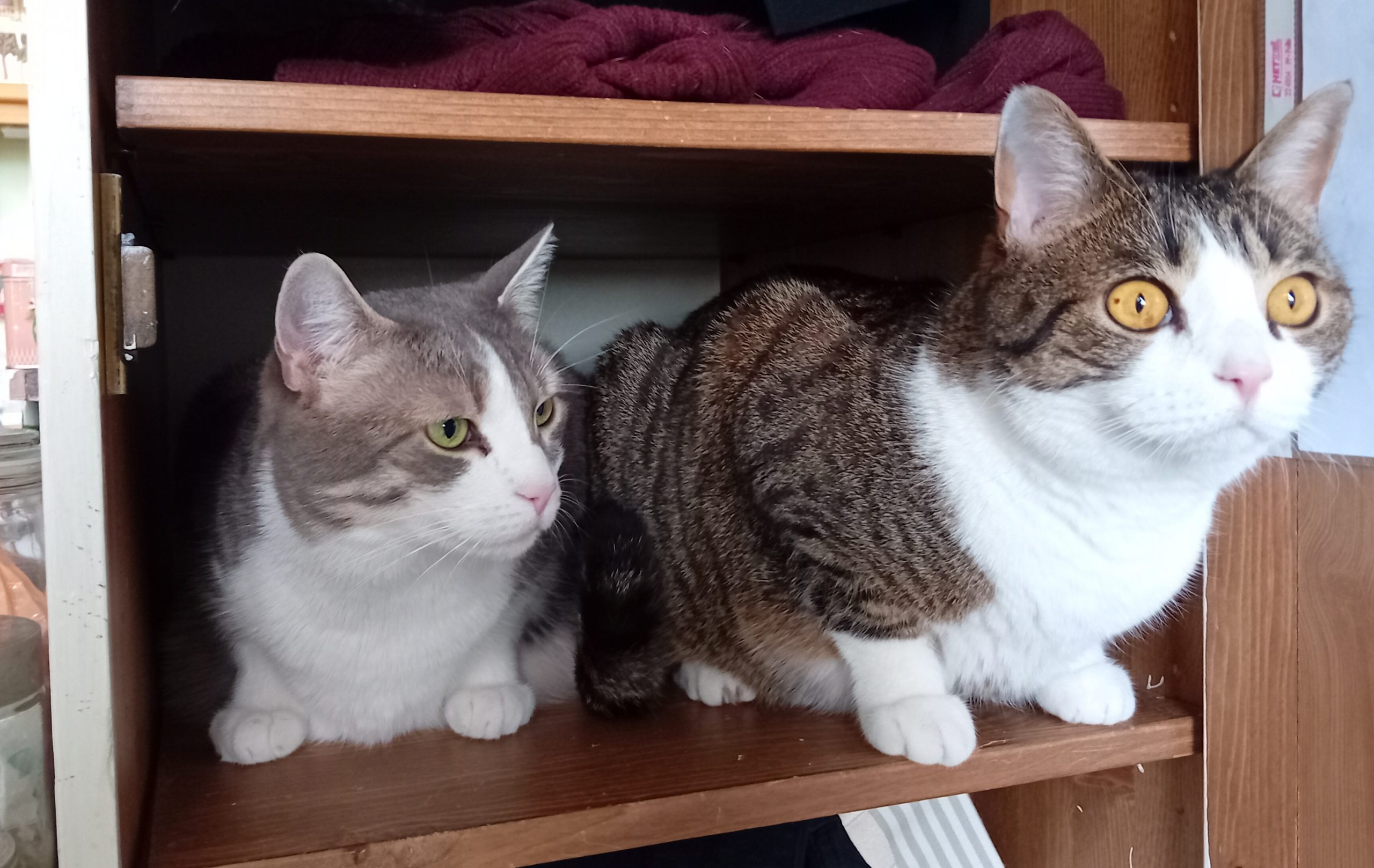 20250106_124309 - J.A. K.