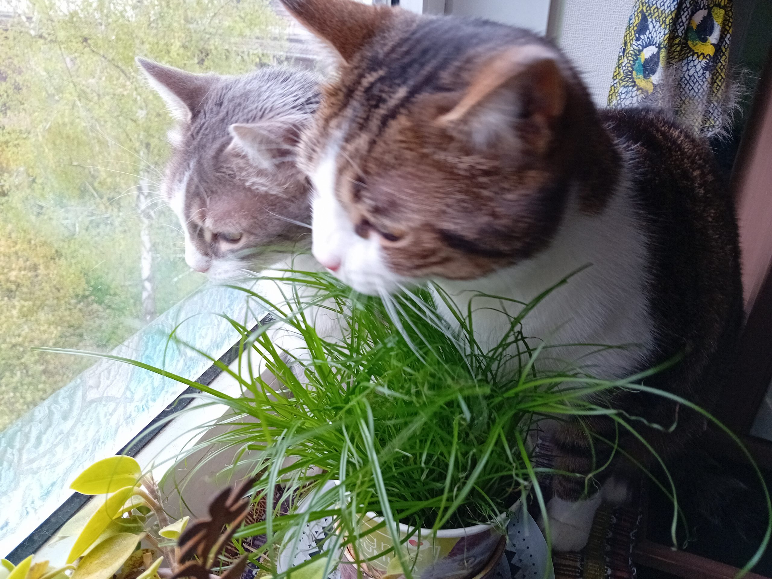 20250415_162529 - J.A. K.