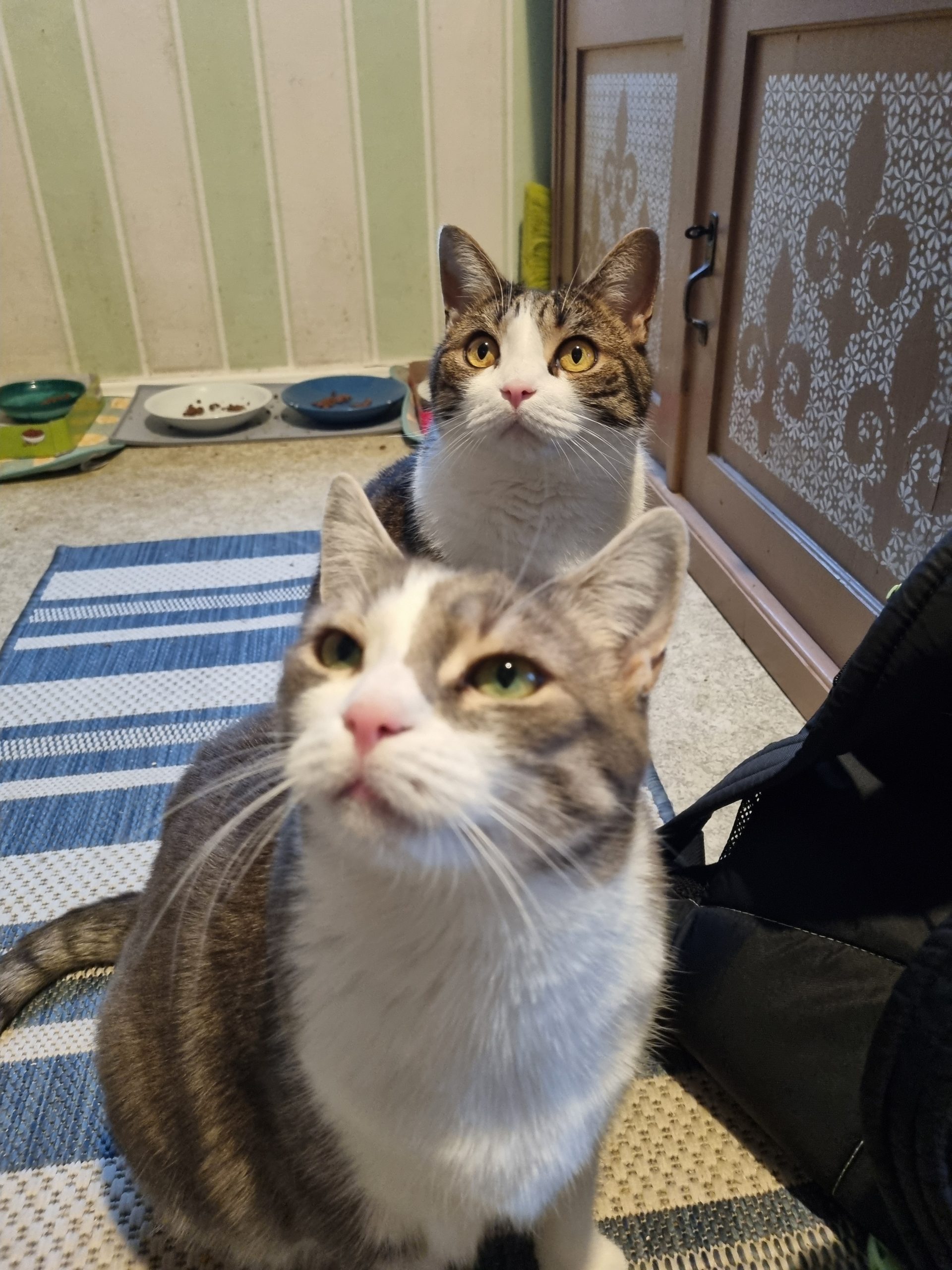 20251031_161411 - J.A. K.