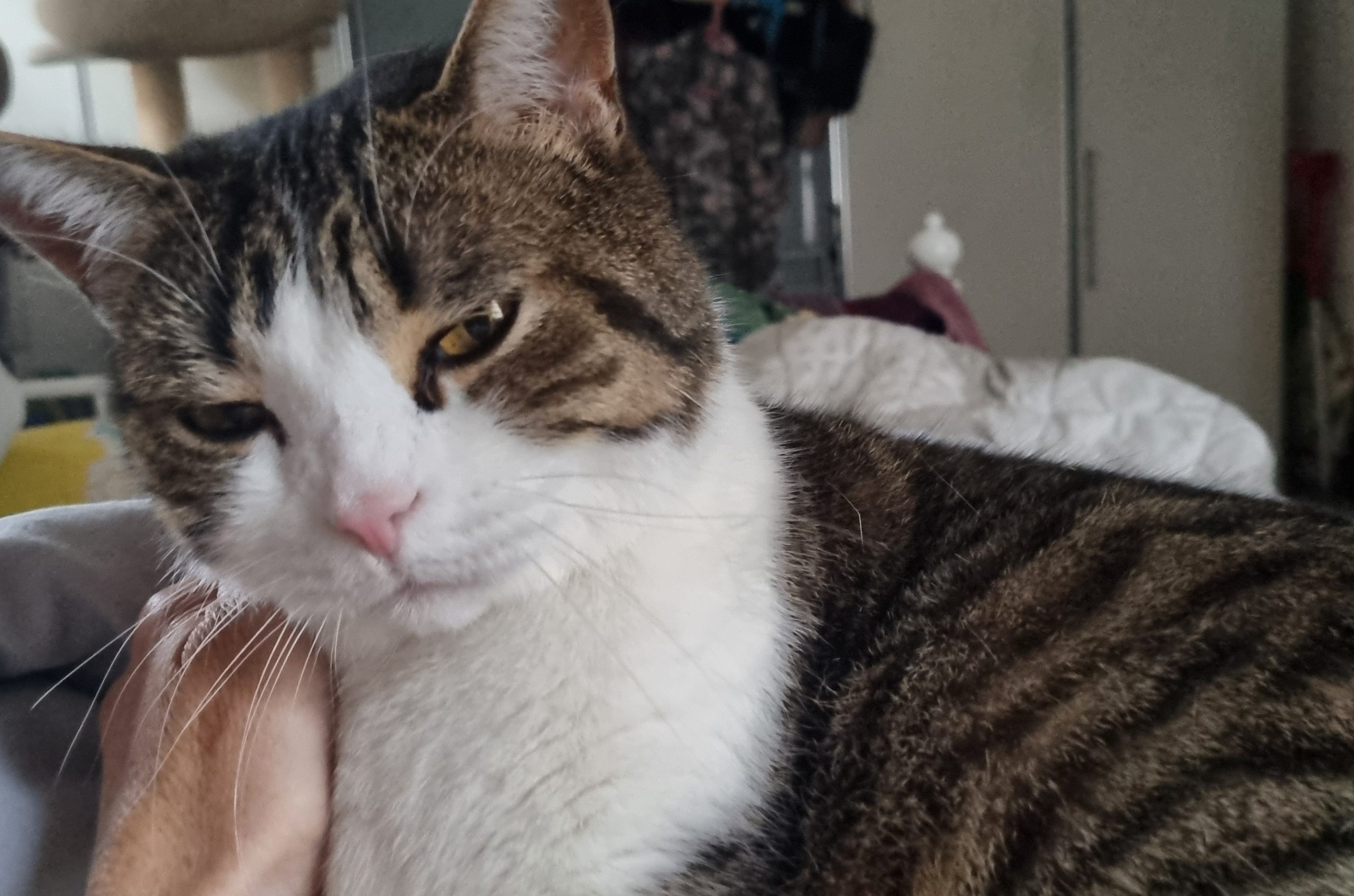 20251210_142657(1) - J.A. K.