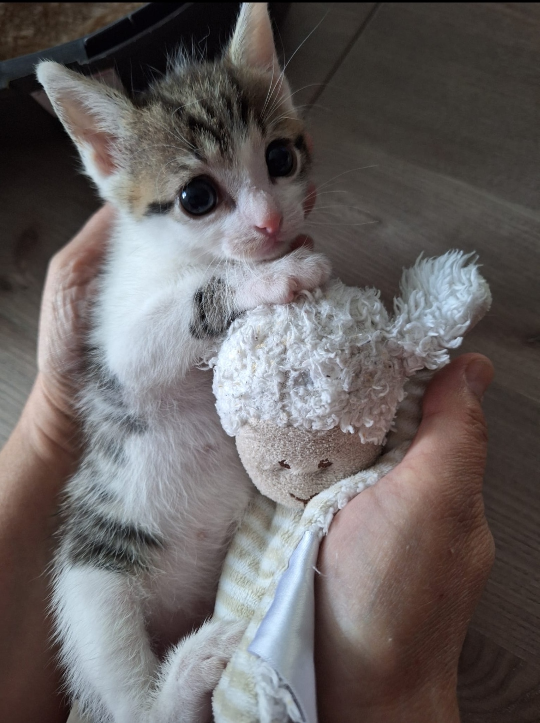 Screenshot_20251211_103921_Gallery