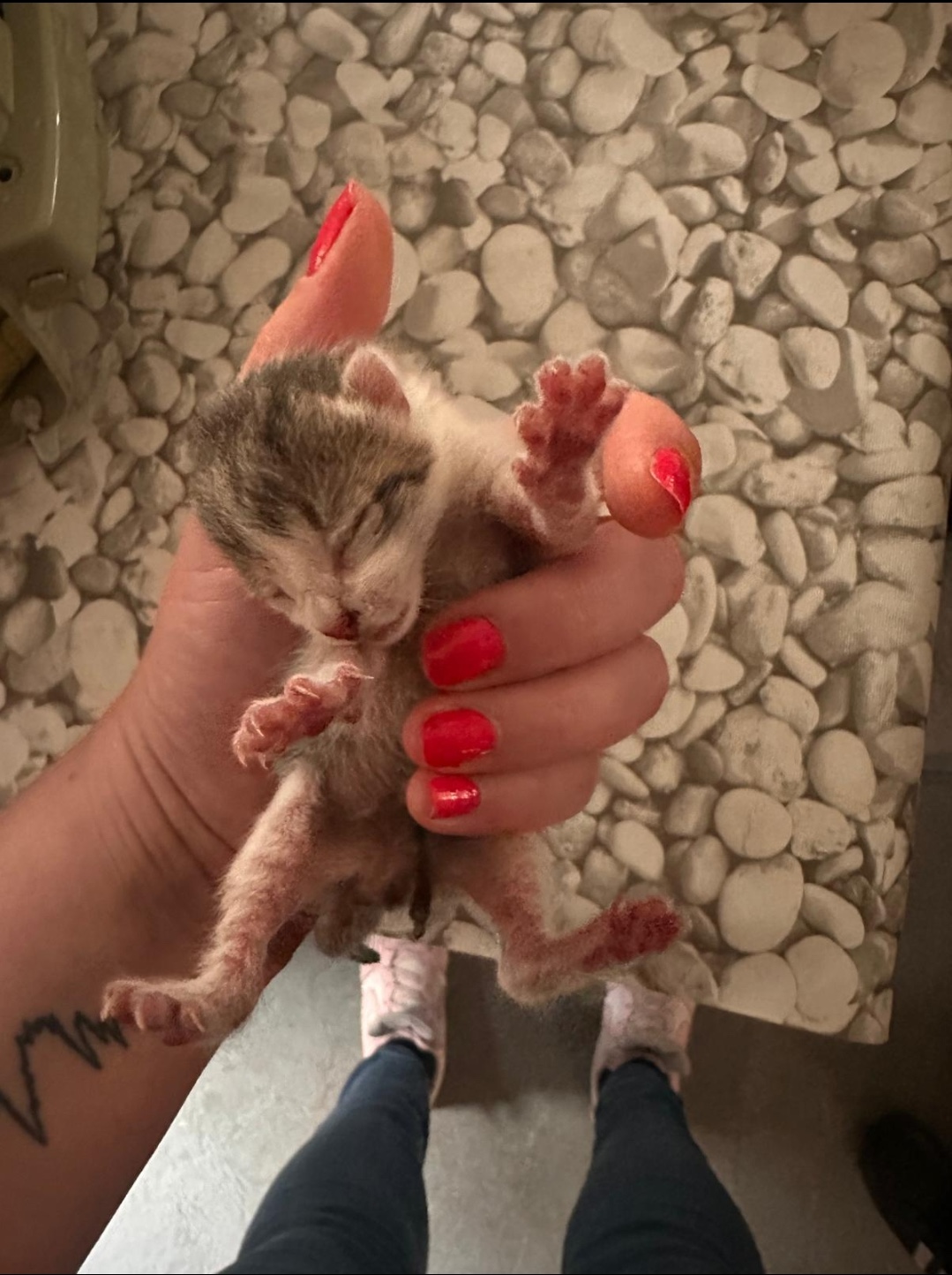 Screenshot_20251211_104020_Gallery