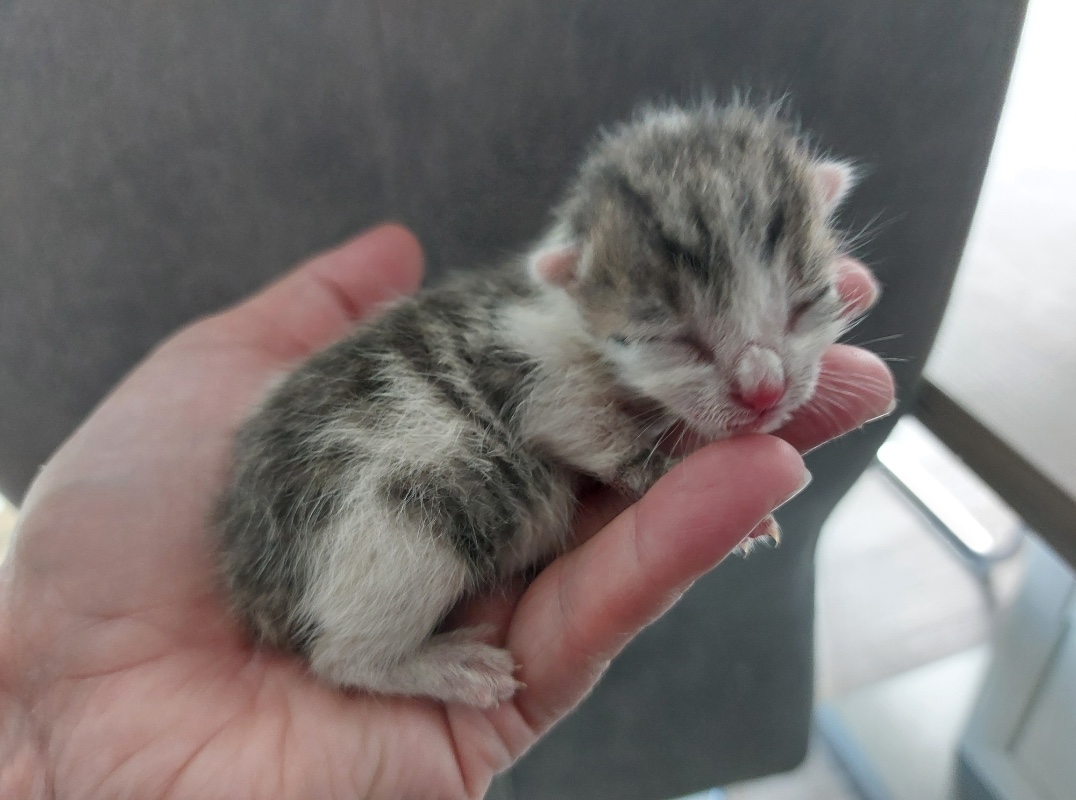 Screenshot_20251211_104054_Gallery