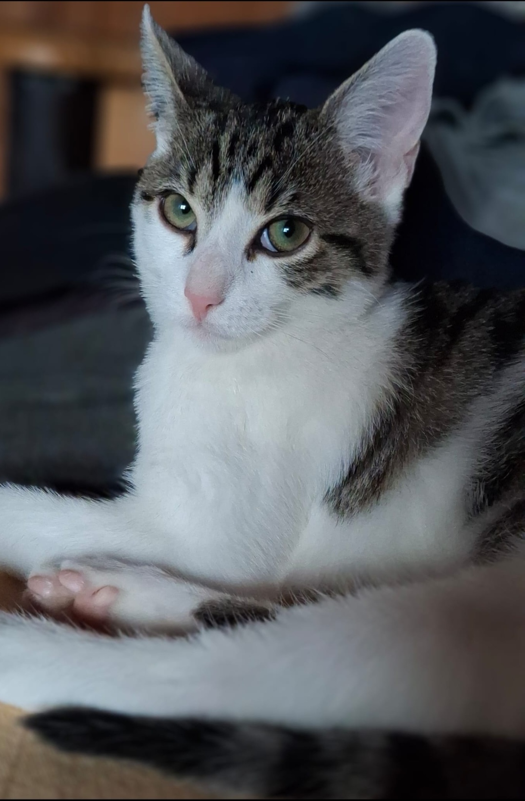 Screenshot_20251211_104152_Gallery