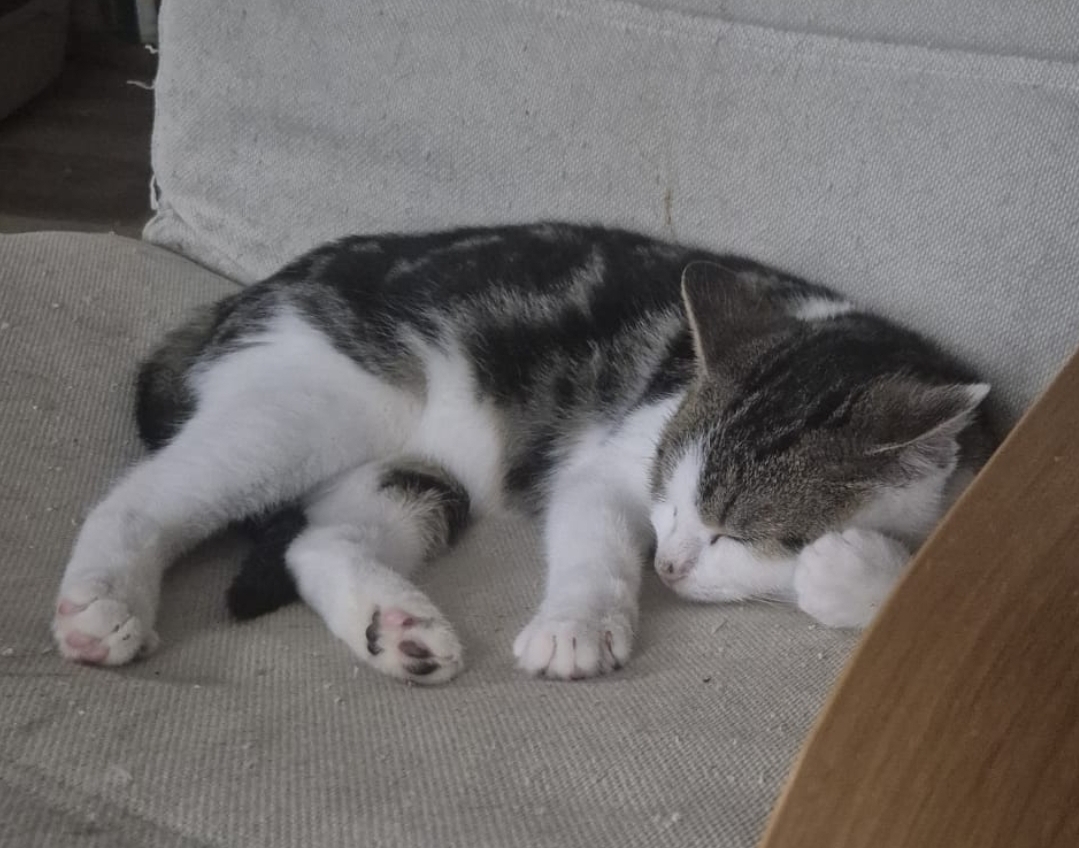 Screenshot_20251215_164734_WhatsApp - Annette Wemhoff