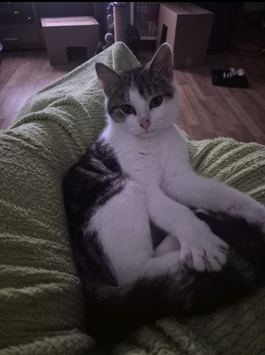 Screenshot_20251215_164803_WhatsApp - Annette Wemhoff