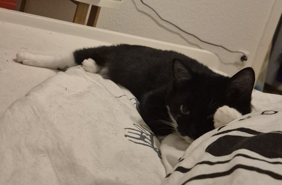 Screenshot_20251215_165031_WhatsApp - Annette Wemhoff