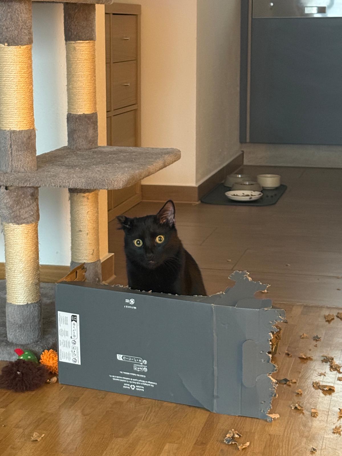 WhatsApp Image 2025-12-22 at 10.27.23