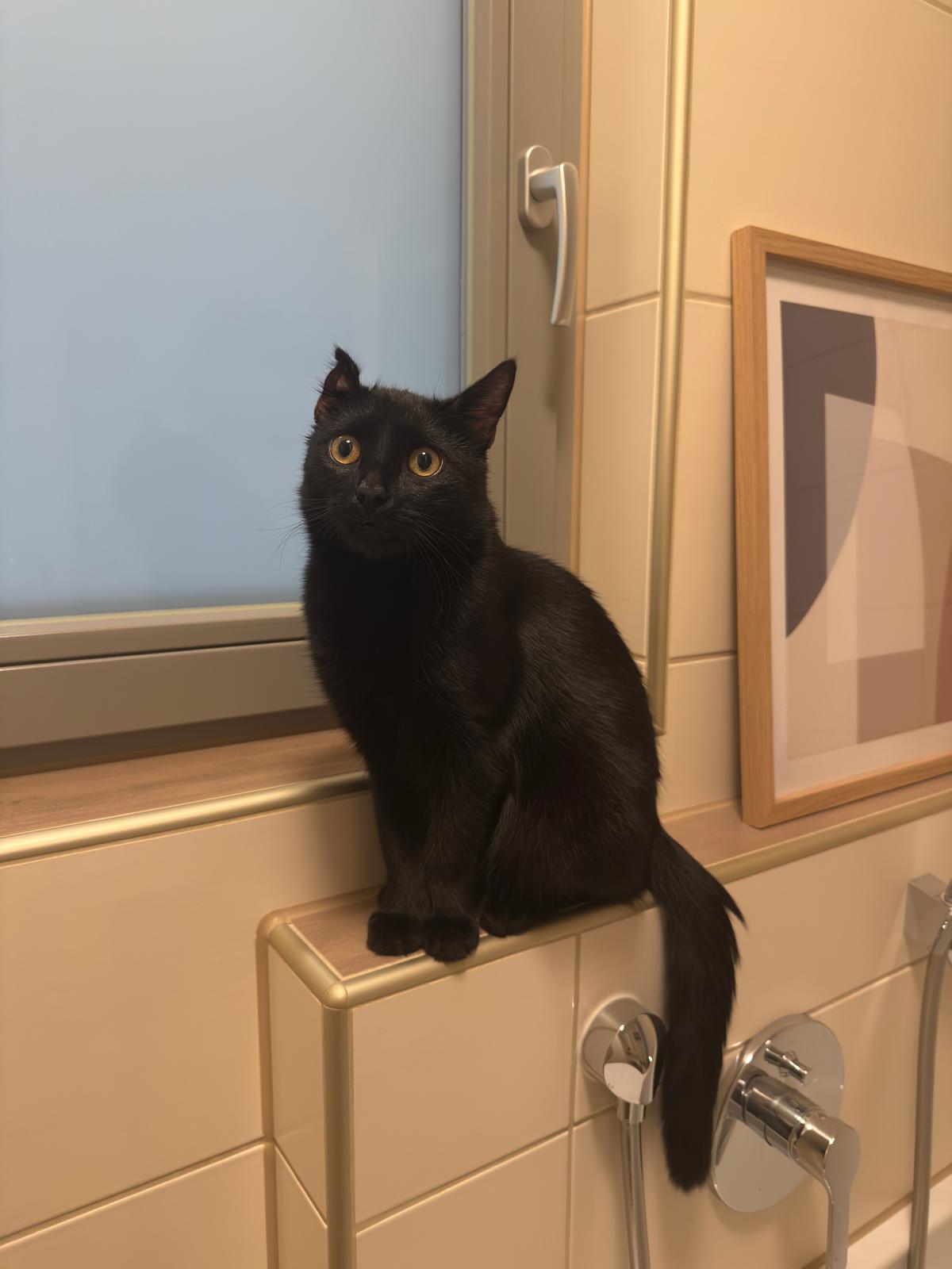 WhatsApp Image 2025-12-22 at 10.27.24