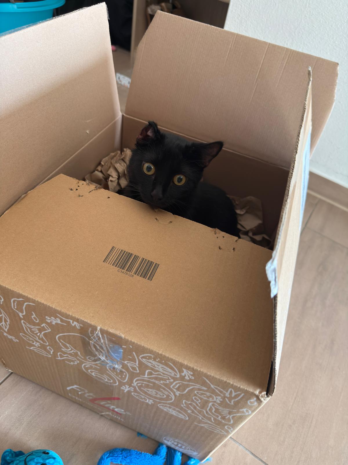 WhatsApp Image 2025-12-22 at 10.27.25