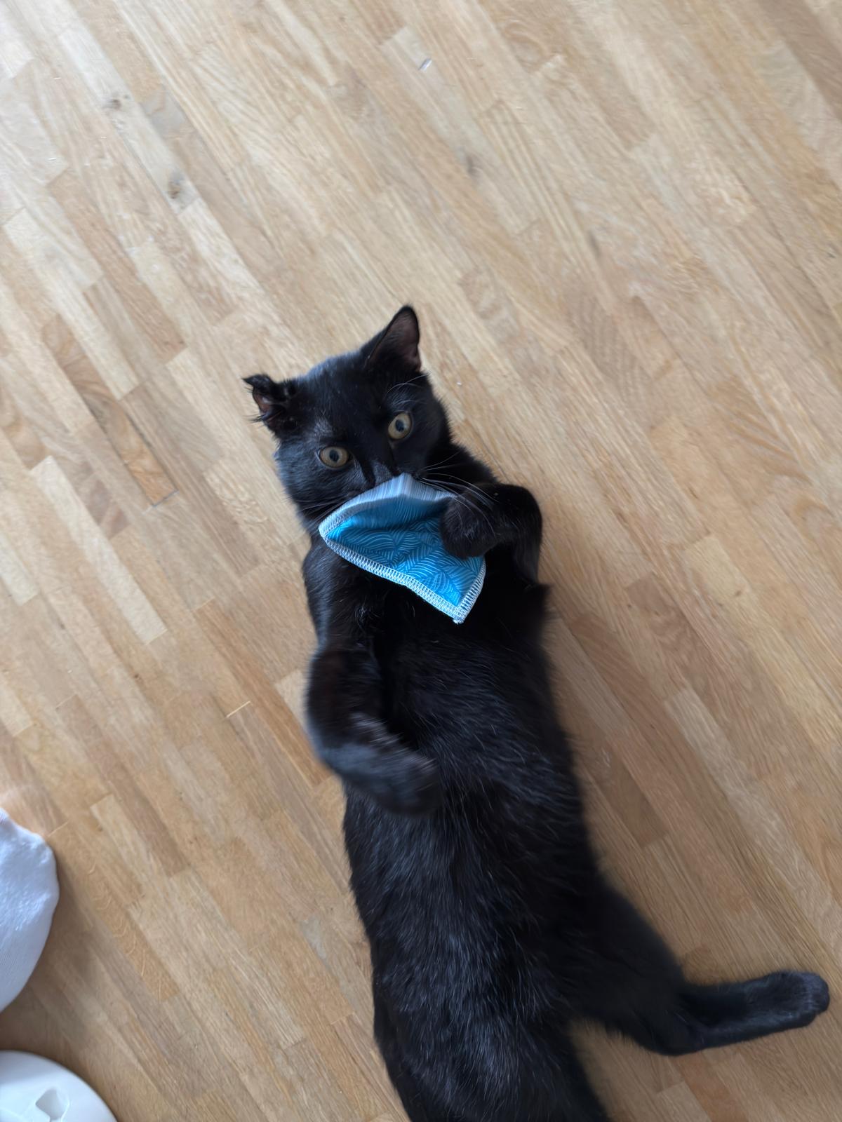 WhatsApp Image 2025-12-22 at 10.27.27