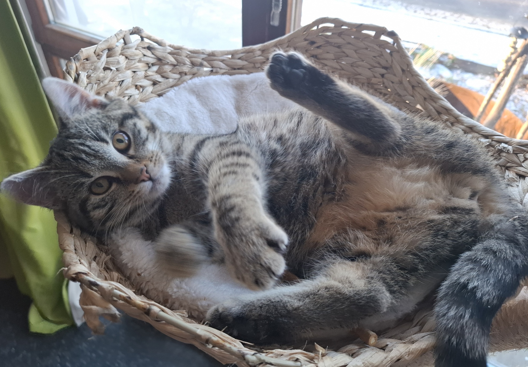 20251230_112548_resized