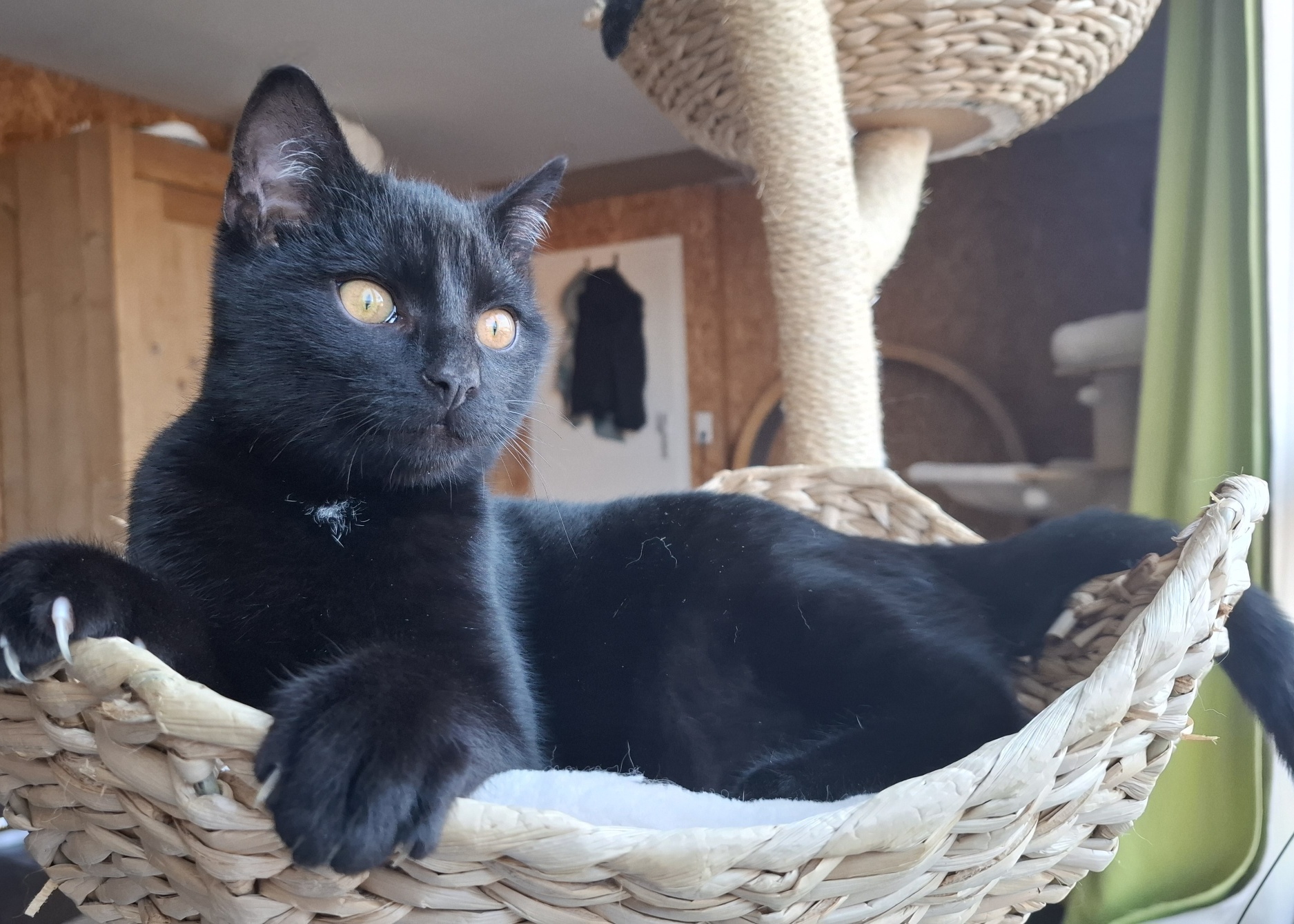 20251230_112719_resized