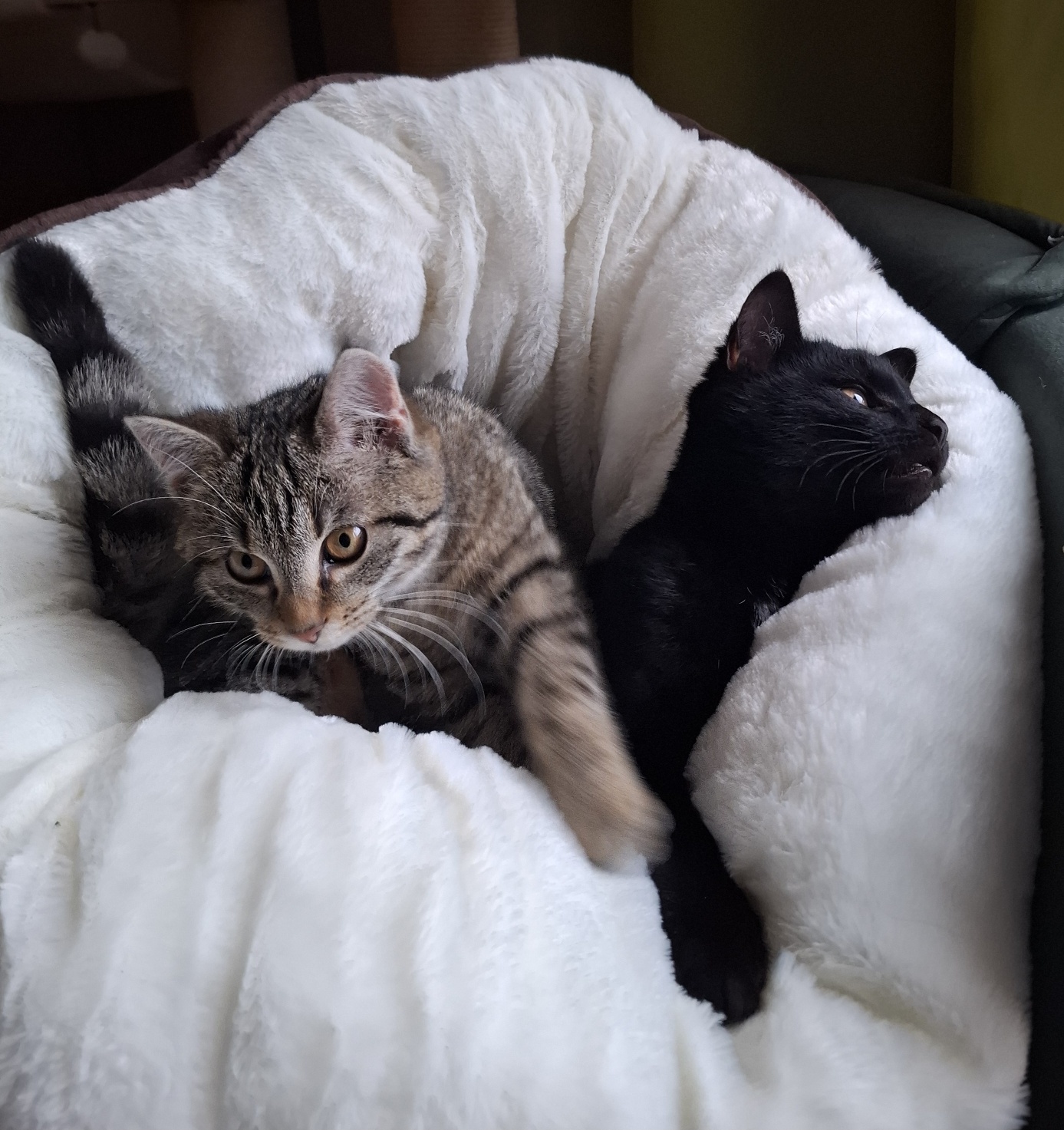 20260101_125926_resized