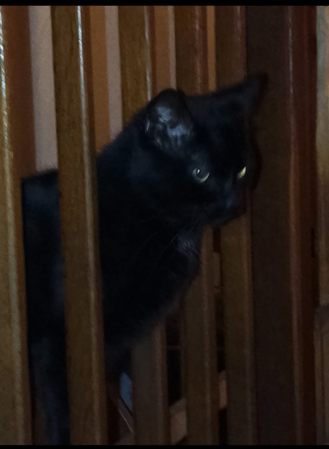 Screenshot_20260104_164444_WhatsApp - Annette Wemhoff