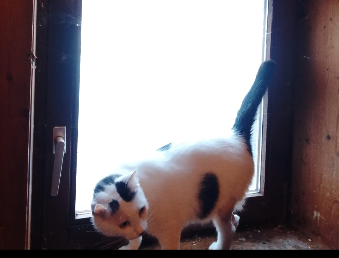 Screenshot_20260104_164504_WhatsApp - Annette Wemhoff