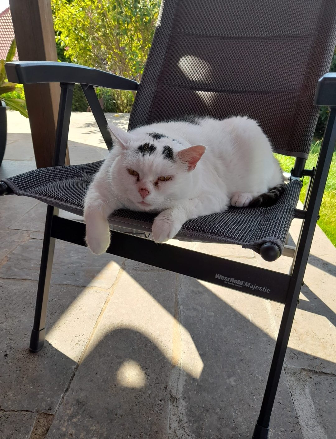 Screenshot_20260121_122705_Gallery