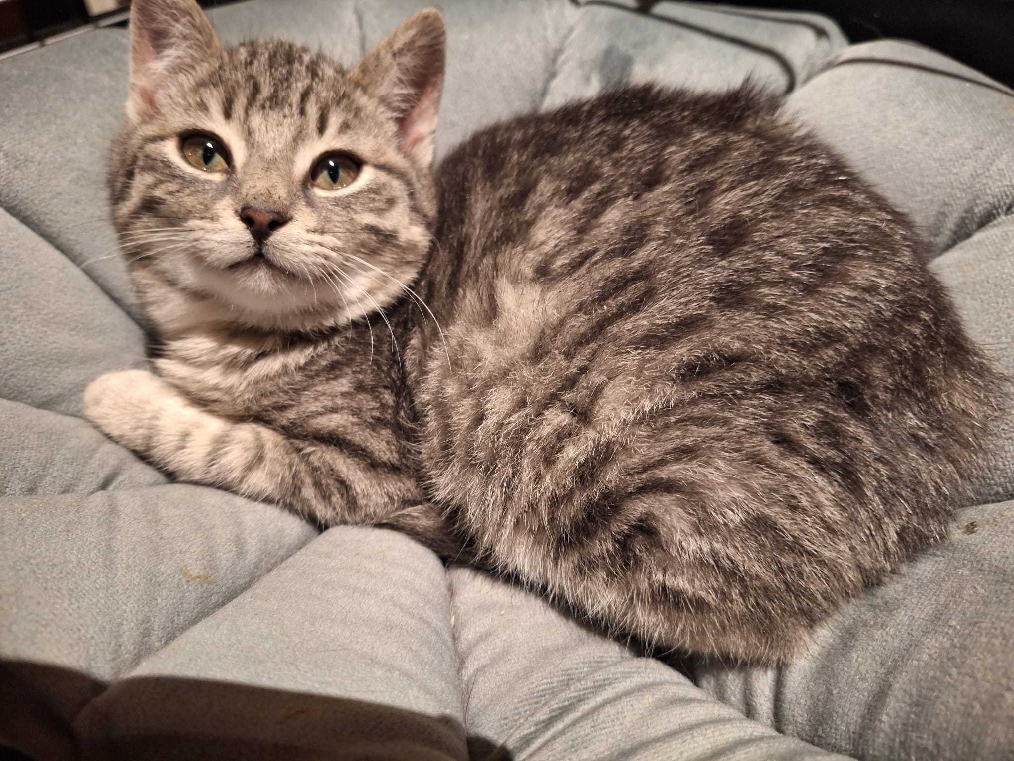 WhatsApp Image 2025-12-23 at 20.44.19