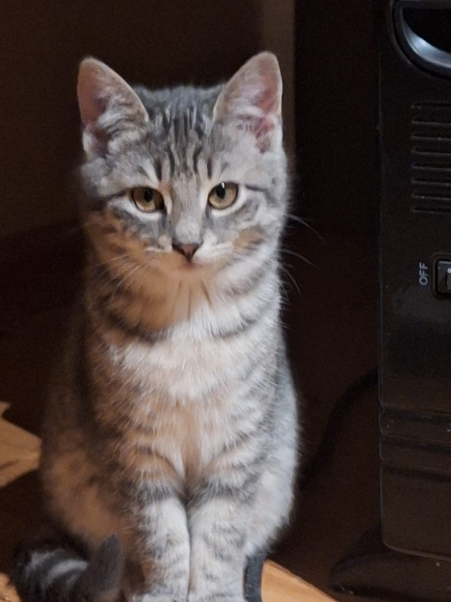 WhatsApp Image 2025-12-23 at 20.44.19(1)