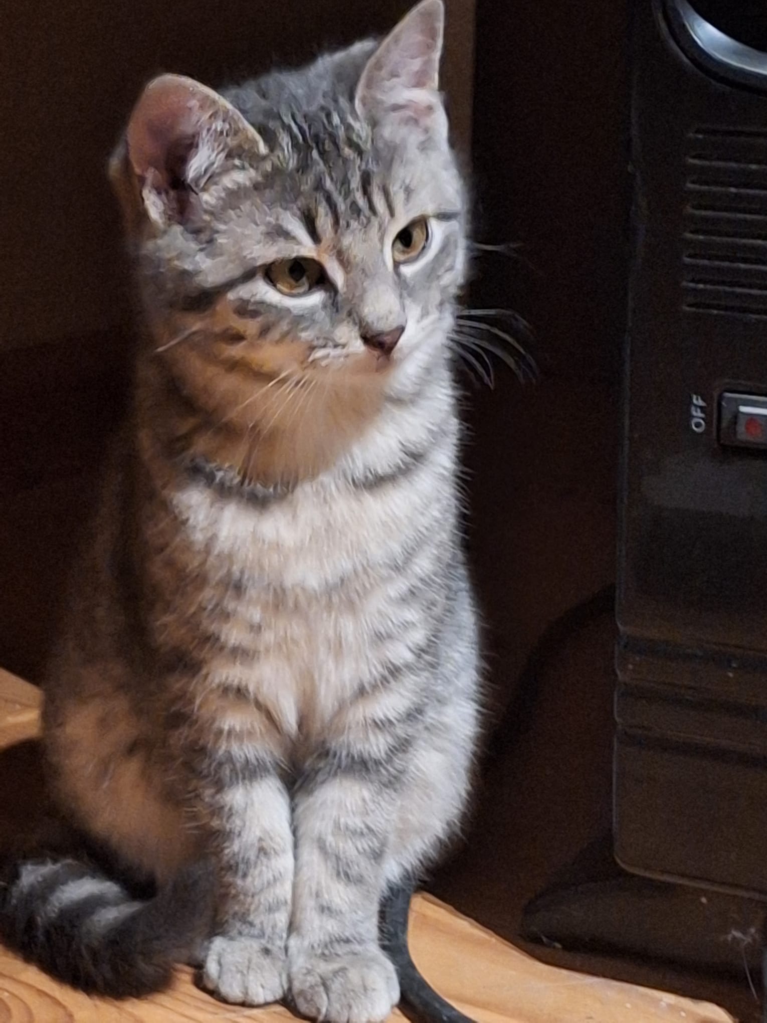 WhatsApp Image 2025-12-23 at 20.44.19(2)