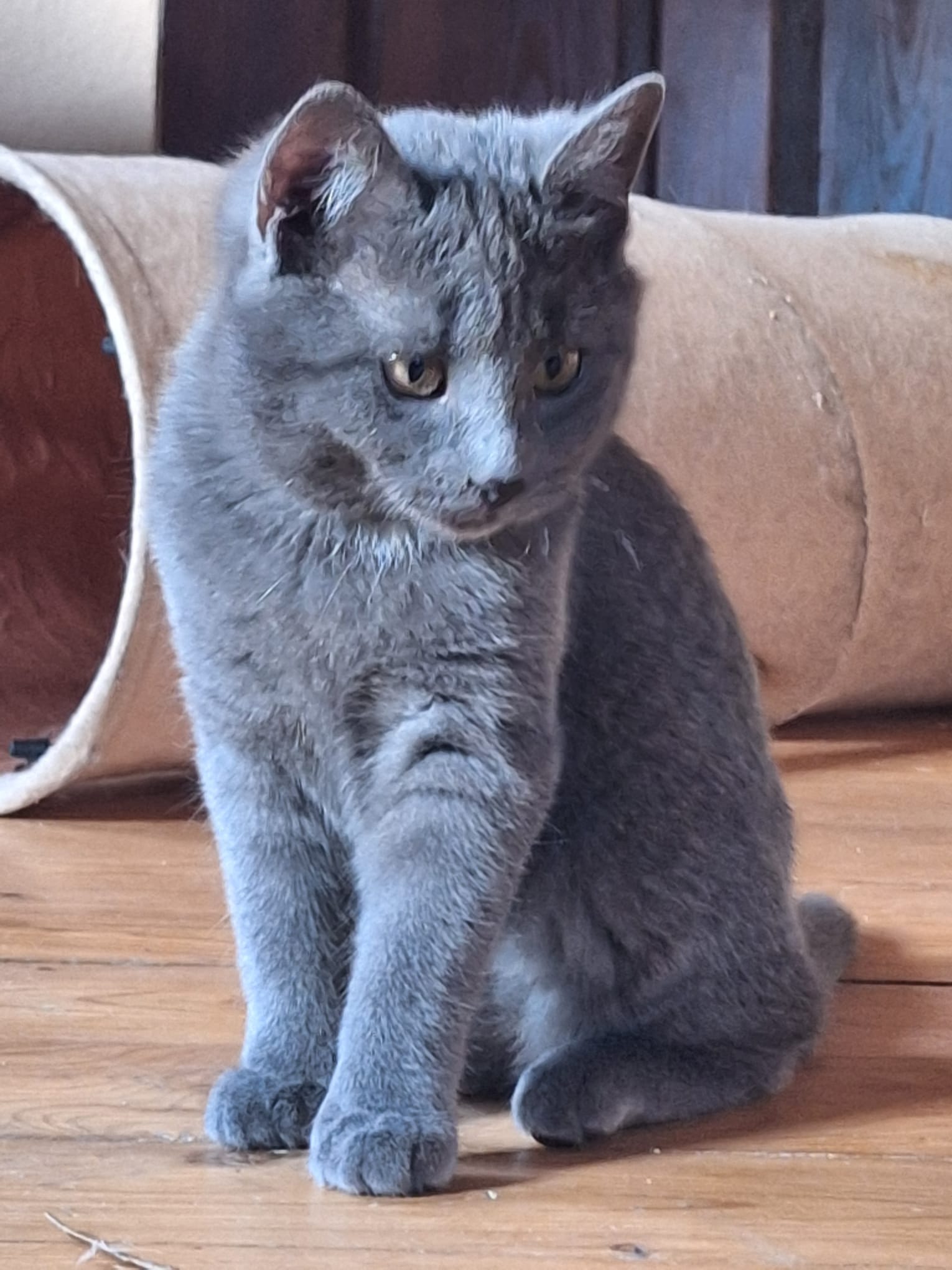 WhatsApp Image 2025-12-23 at 20.46.06(1)