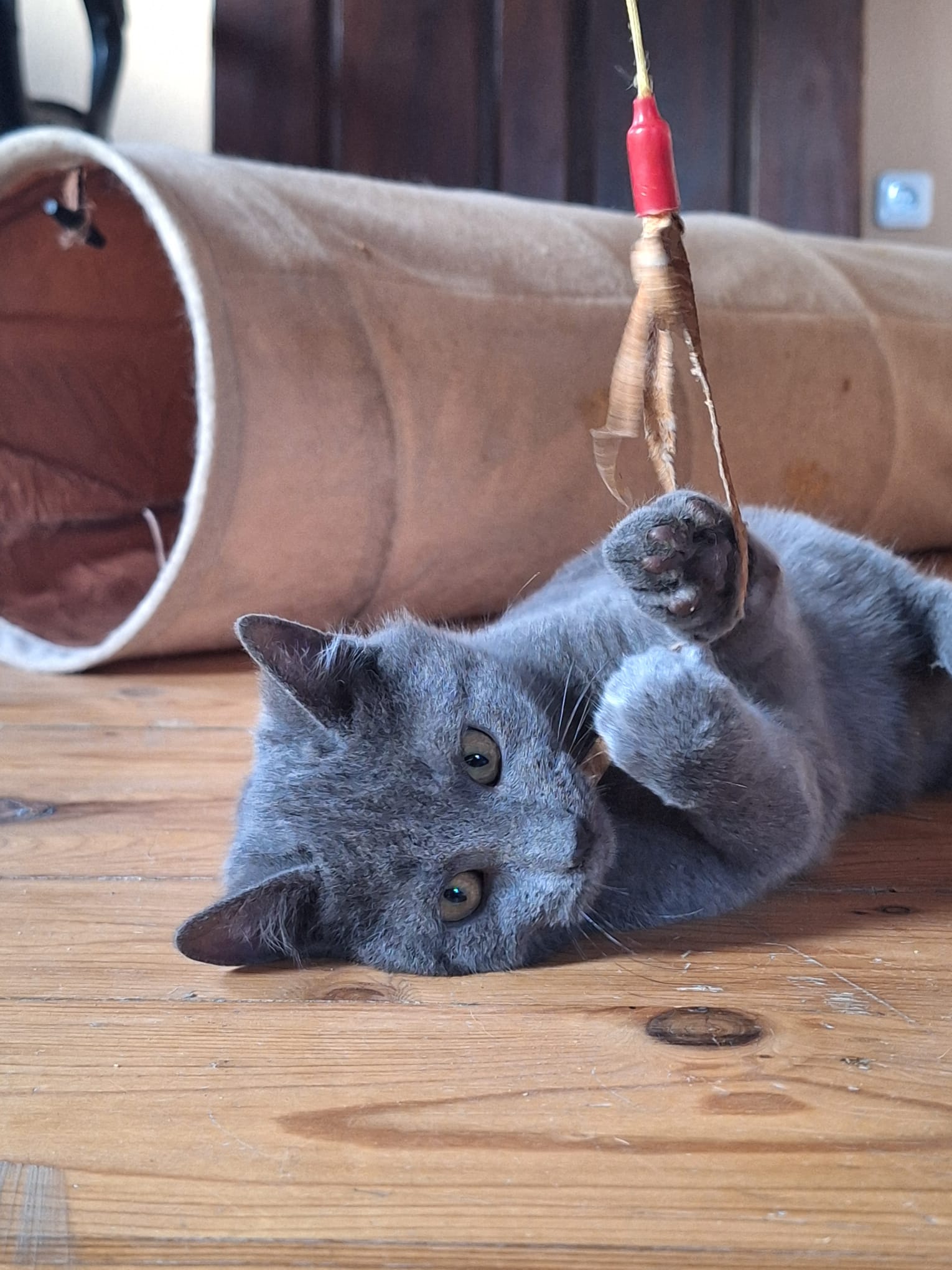 WhatsApp Image 2025-12-23 at 20.46.06(2)