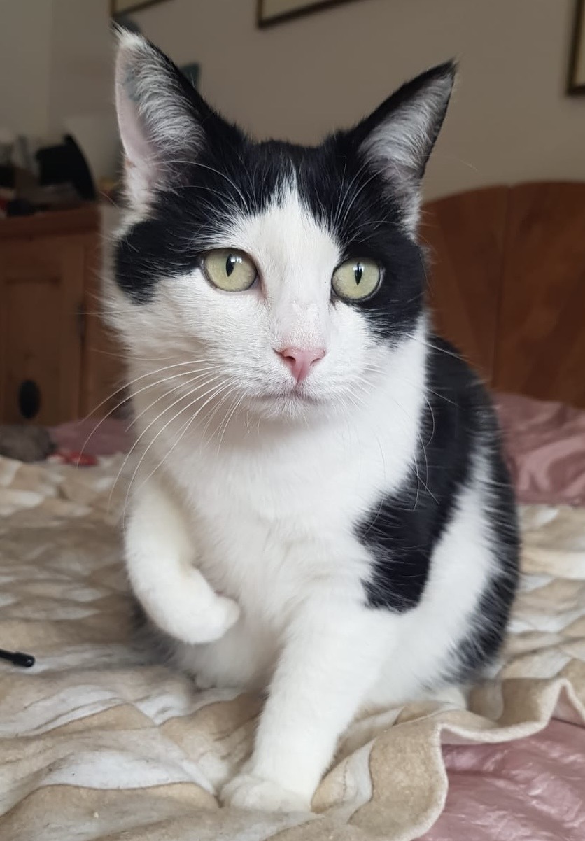 11403021-4c4b-4c09-9a14-0c33f5a73d09