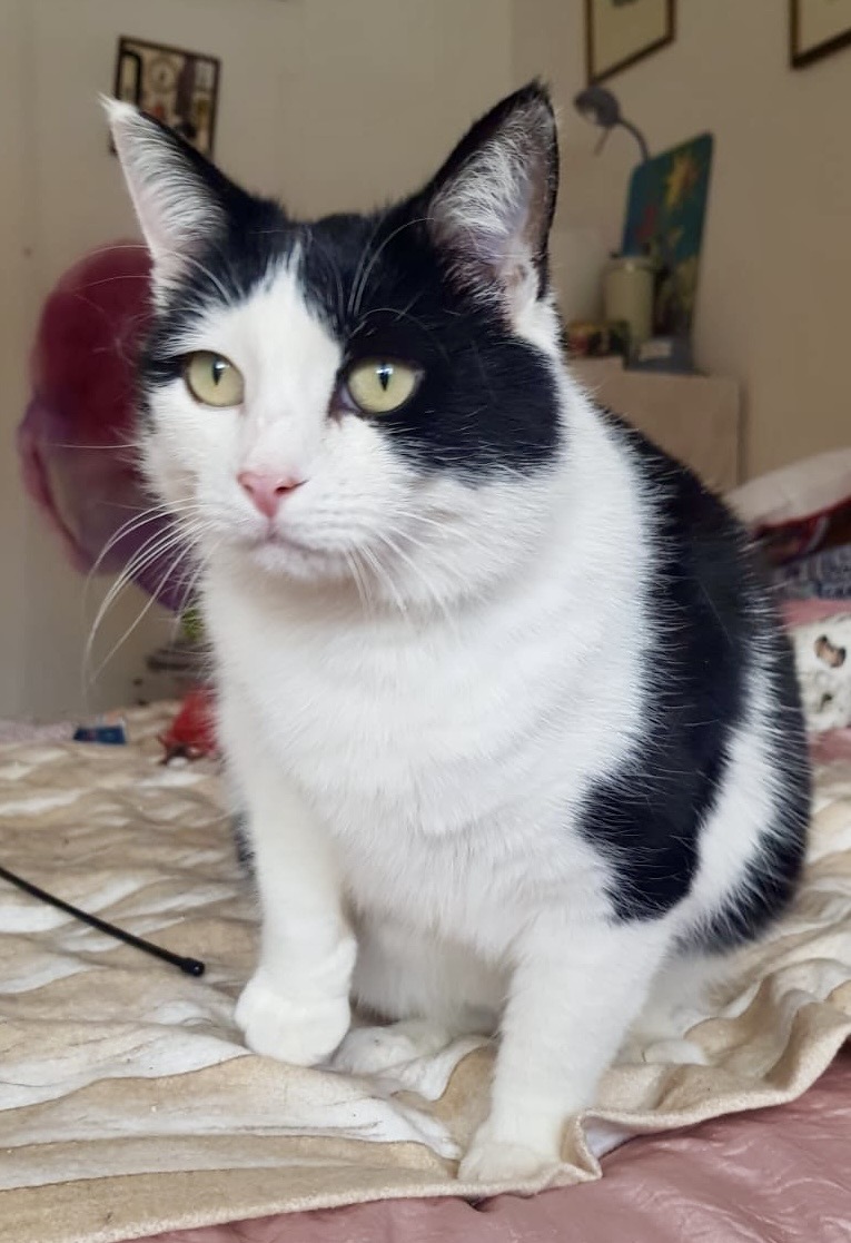 15f6a974-7bfd-4d5e-b126-908e2d909d4e