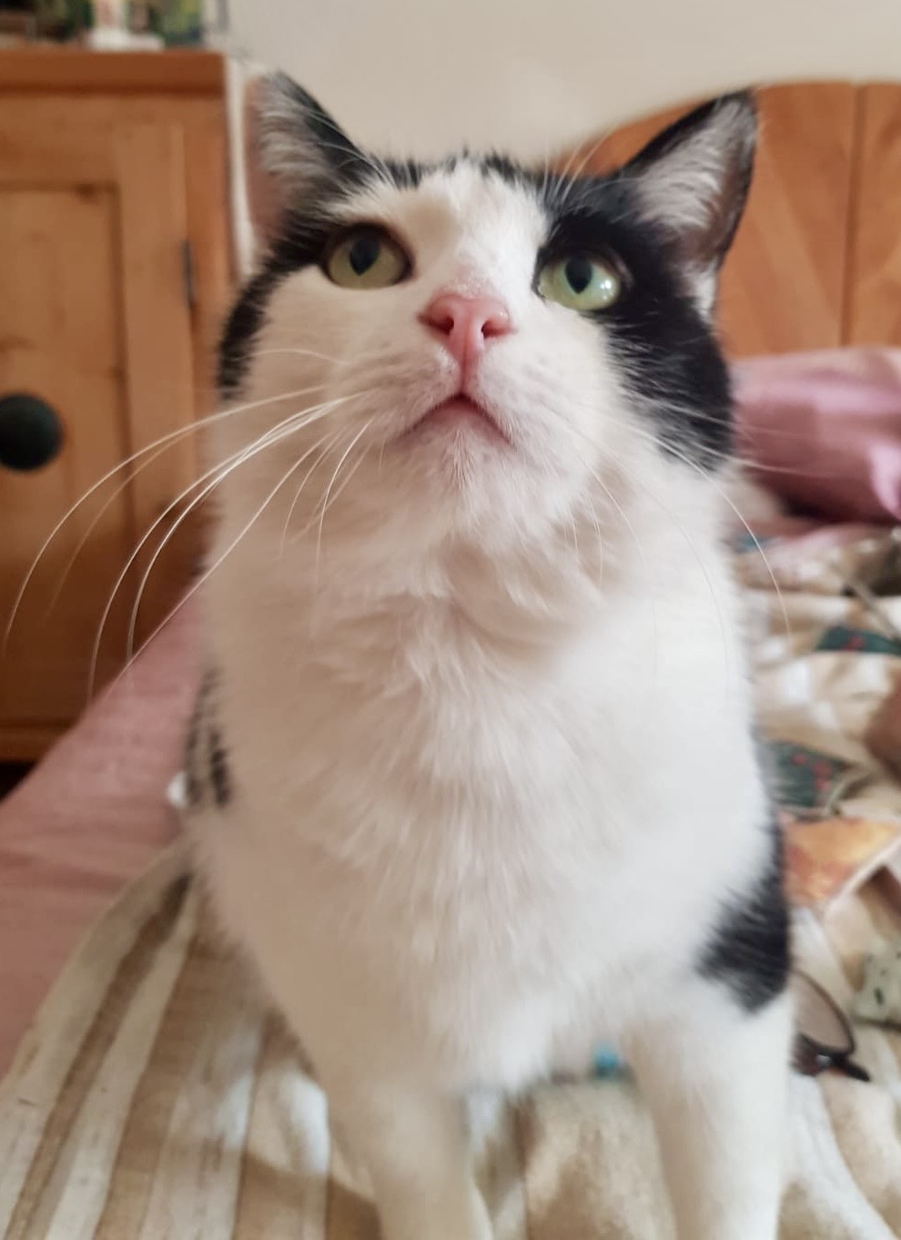 964e8e9d-c296-4b52-a1fa-f6361623ae4d