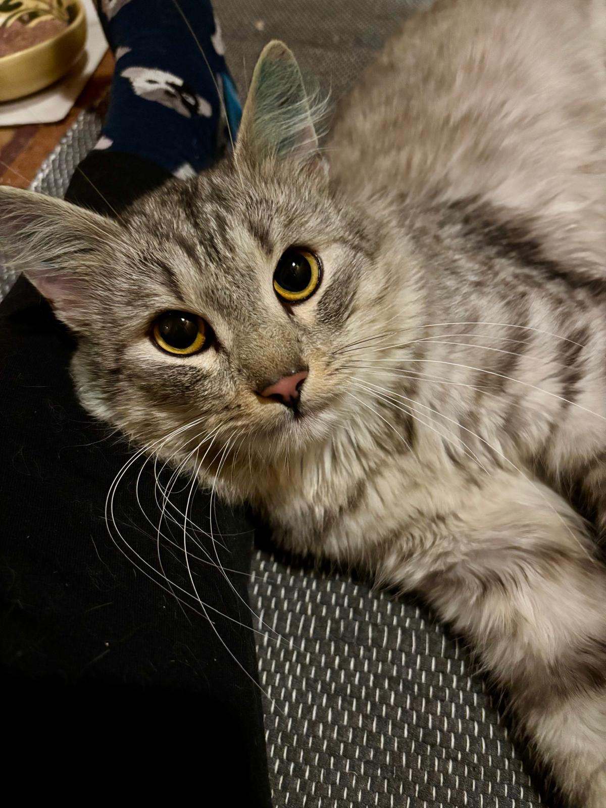 PHOTO-2025-11-12-23-46-59