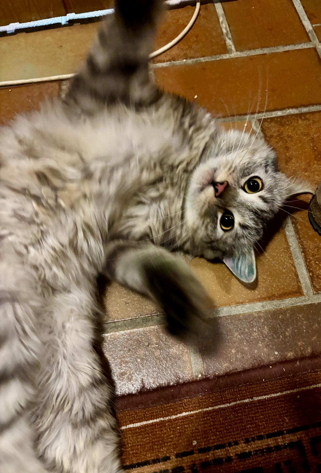 PHOTO-2025-11-12-23-51-41