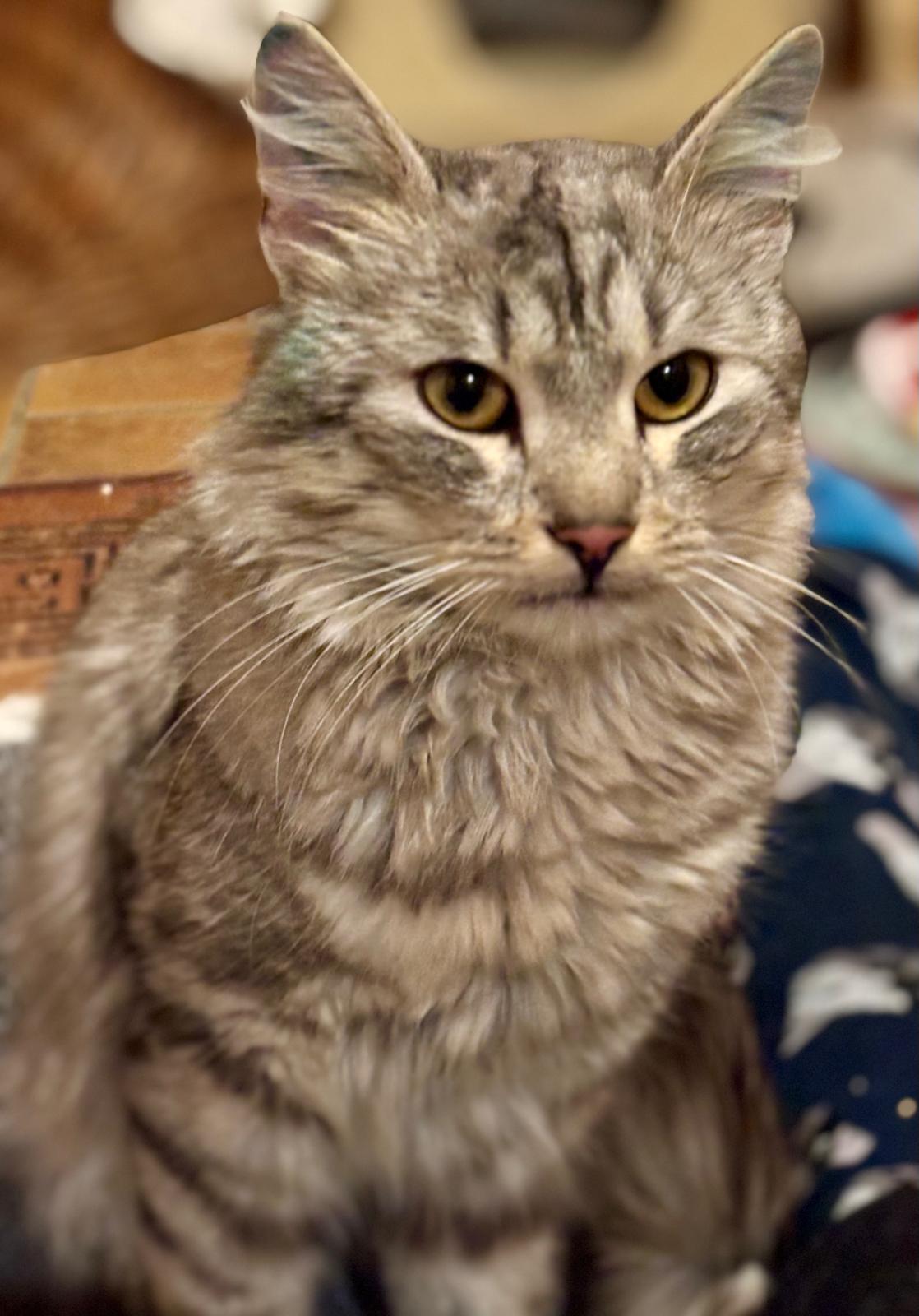 PHOTO-2025-11-13-01-01-15