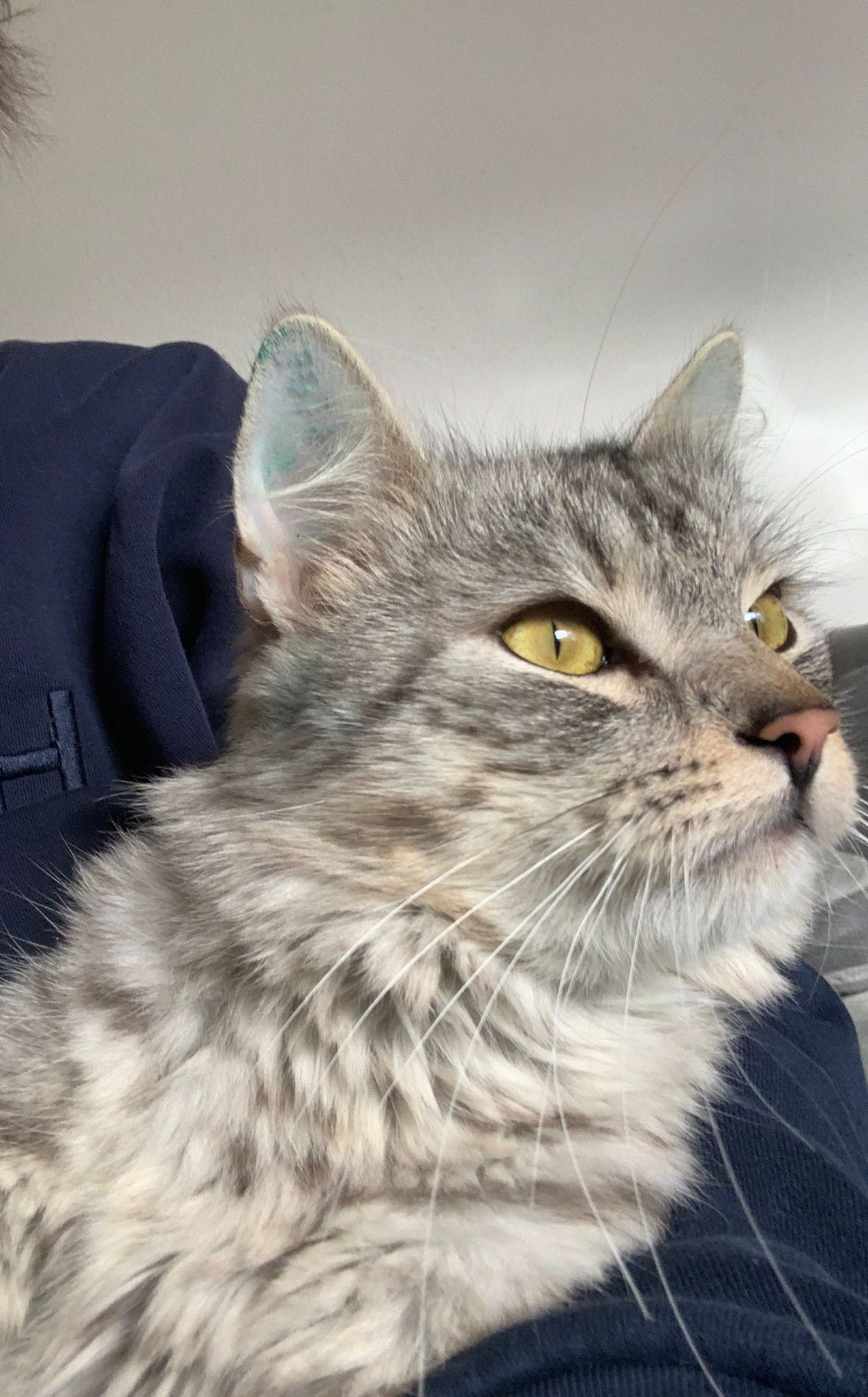 PHOTO-2025-11-16-12-23-56